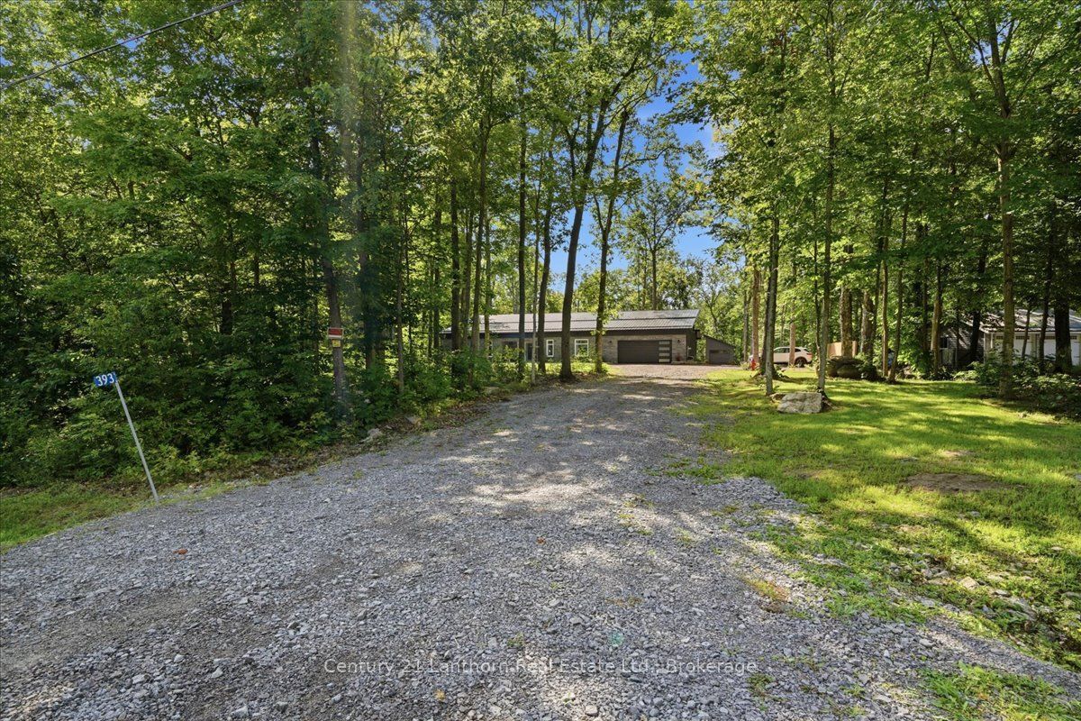 393 Wood Road, Centre Hastings, ON K0K 2K0