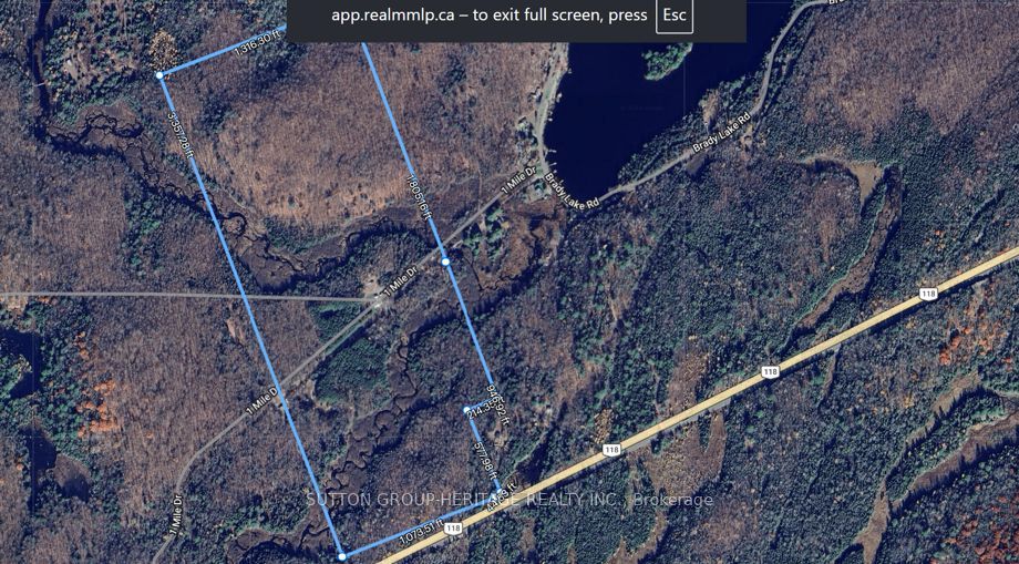 1241 One Mile Drive, Minden Hills, ON K0M 2K0 photo 4