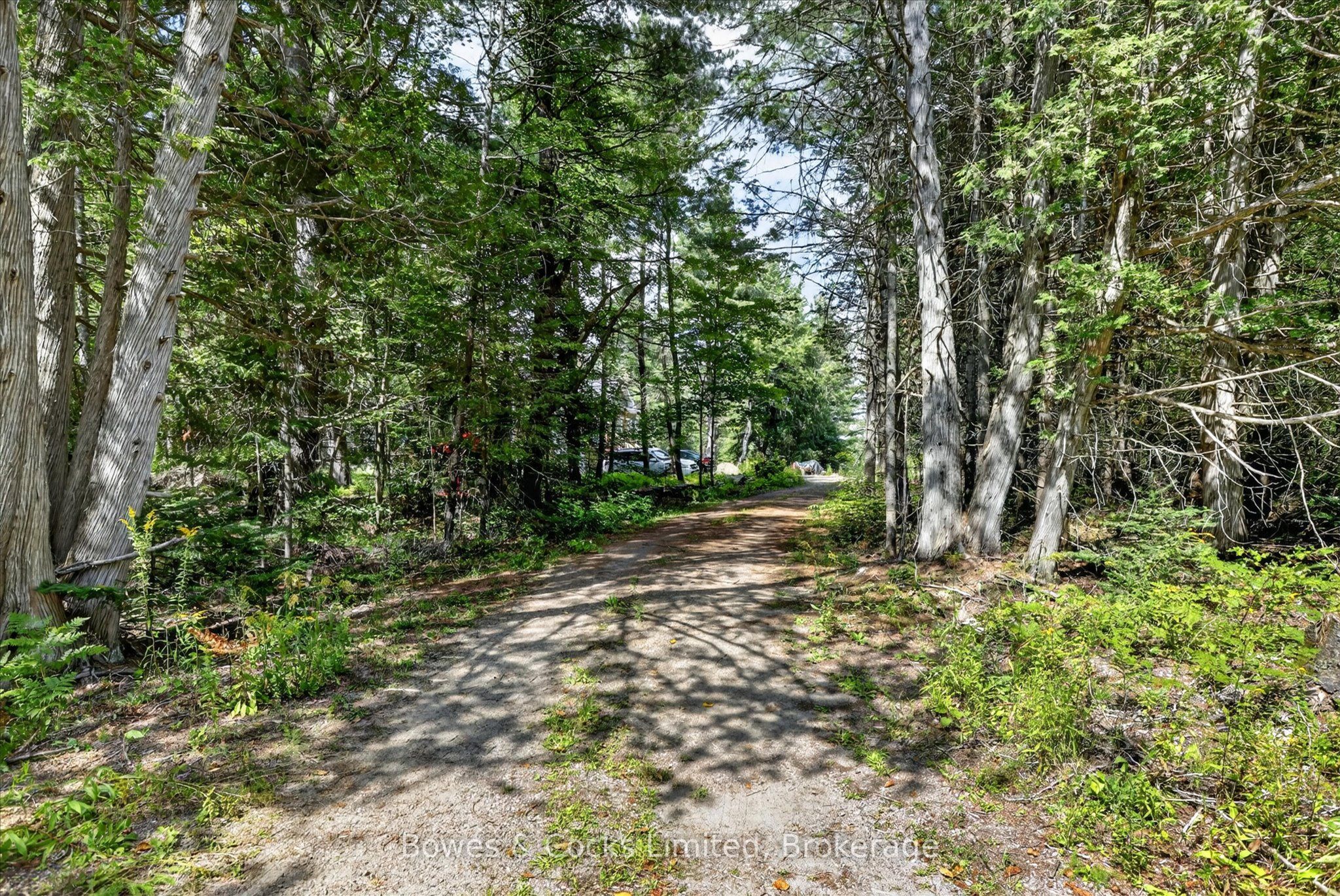 1244 Vick Road, Minden Hills, ON K0M 2K0 photo 3