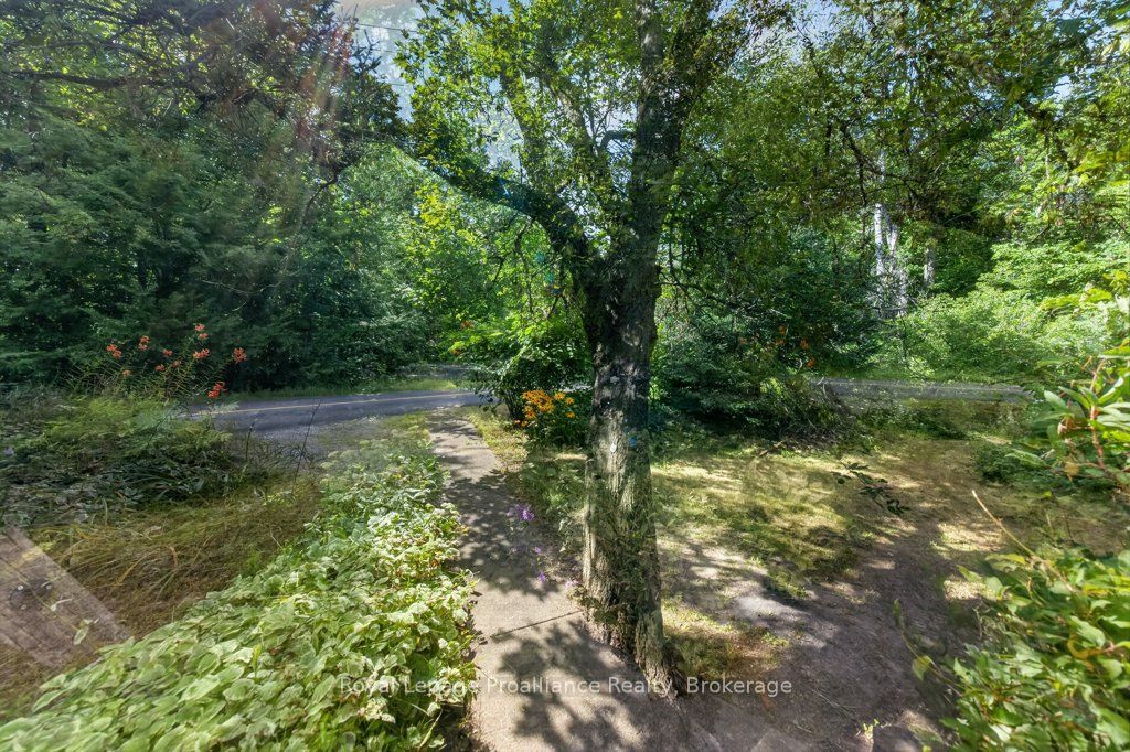 2452 Henderson Road, Frontenac, ON K0K 1B0 photo 5