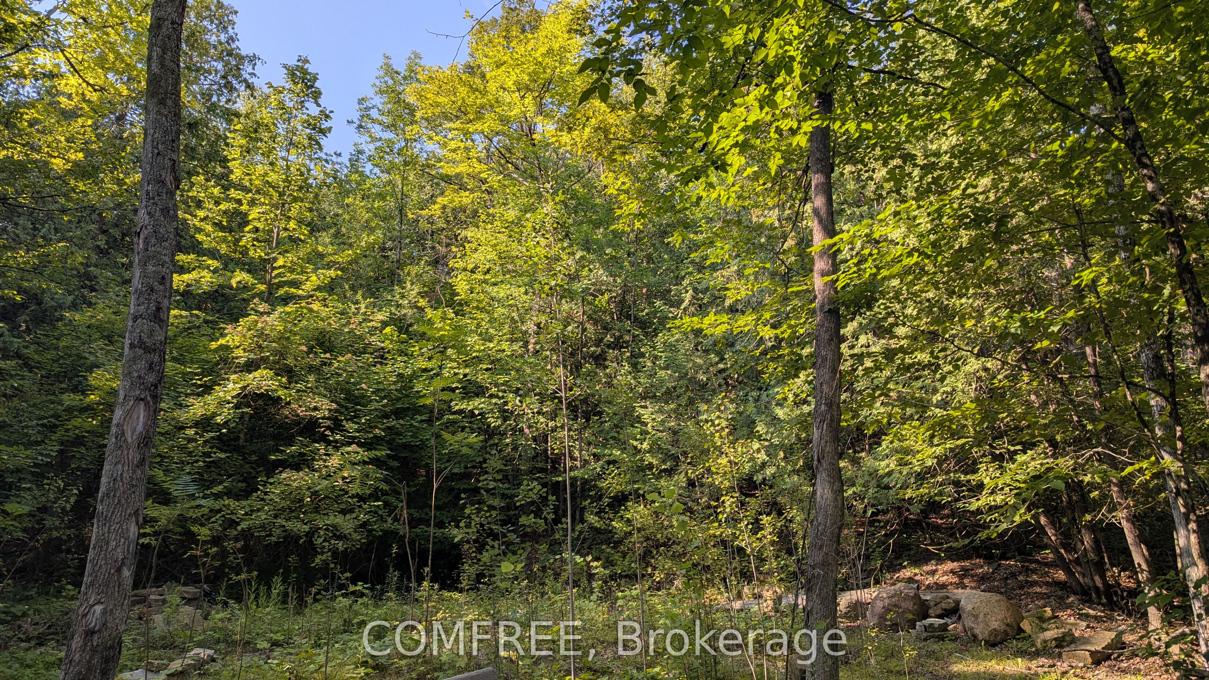 4859 Opeongo Road, Constance Bay - Dunrobin - Kilmaurs - Woodlawn, ON K0A 3M0 photo 3