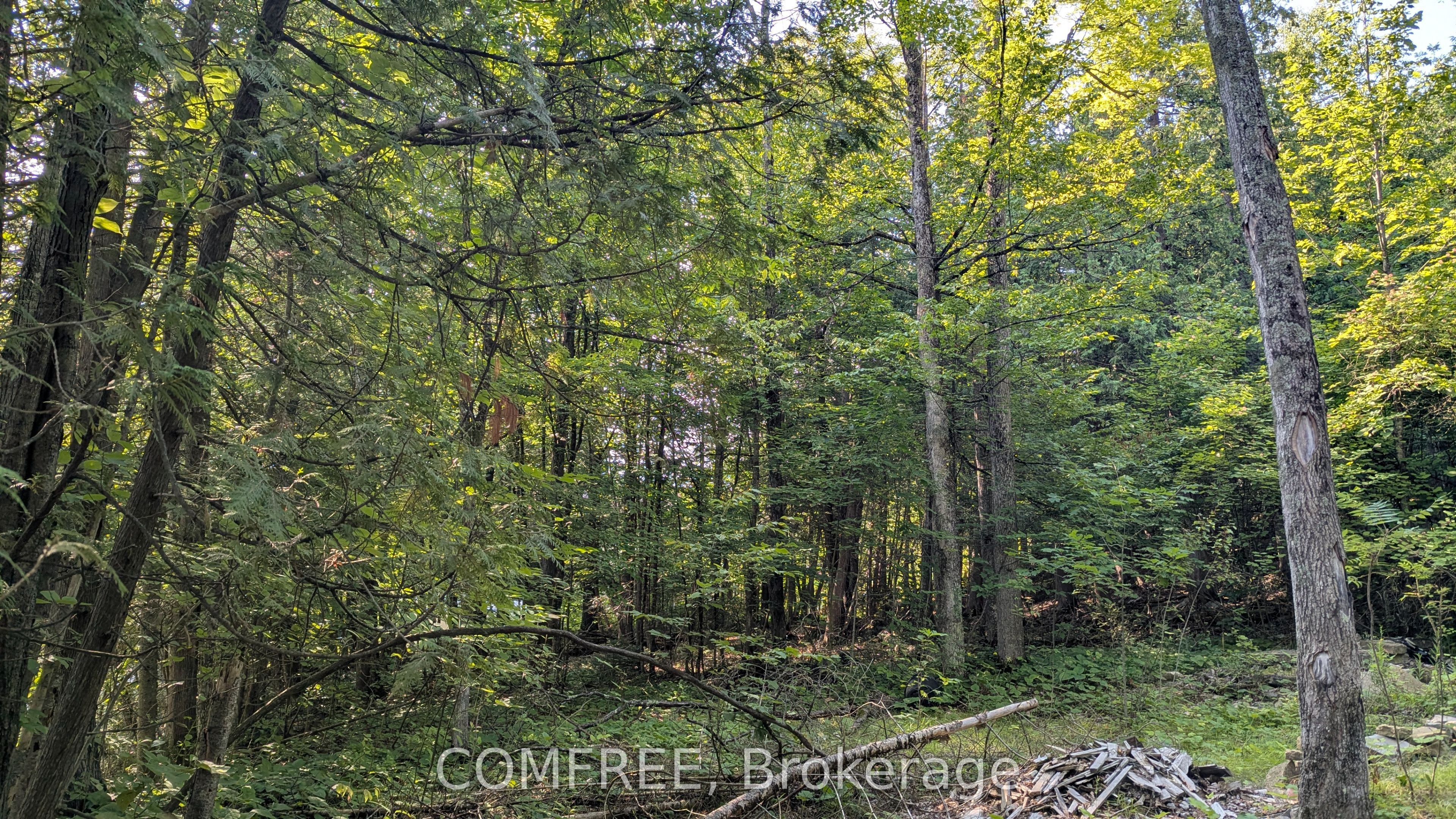 4859 Opeongo Road, Constance Bay - Dunrobin - Kilmaurs - Woodlawn, ON K0A 3M0 photo 4