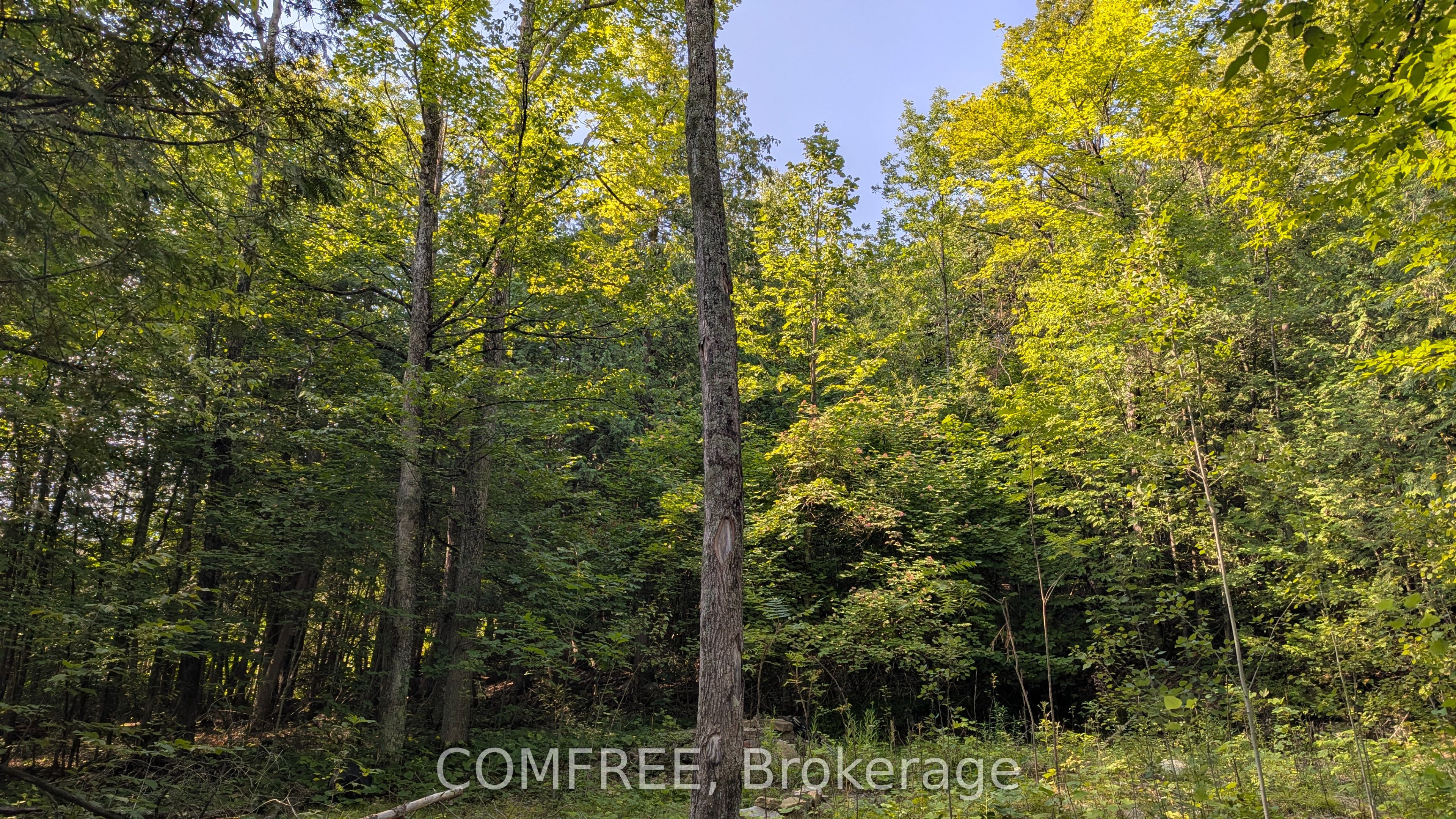 4859 Opeongo Road, Constance Bay - Dunrobin - Kilmaurs - Woodlawn, ON K0A 3M0 photo 5
