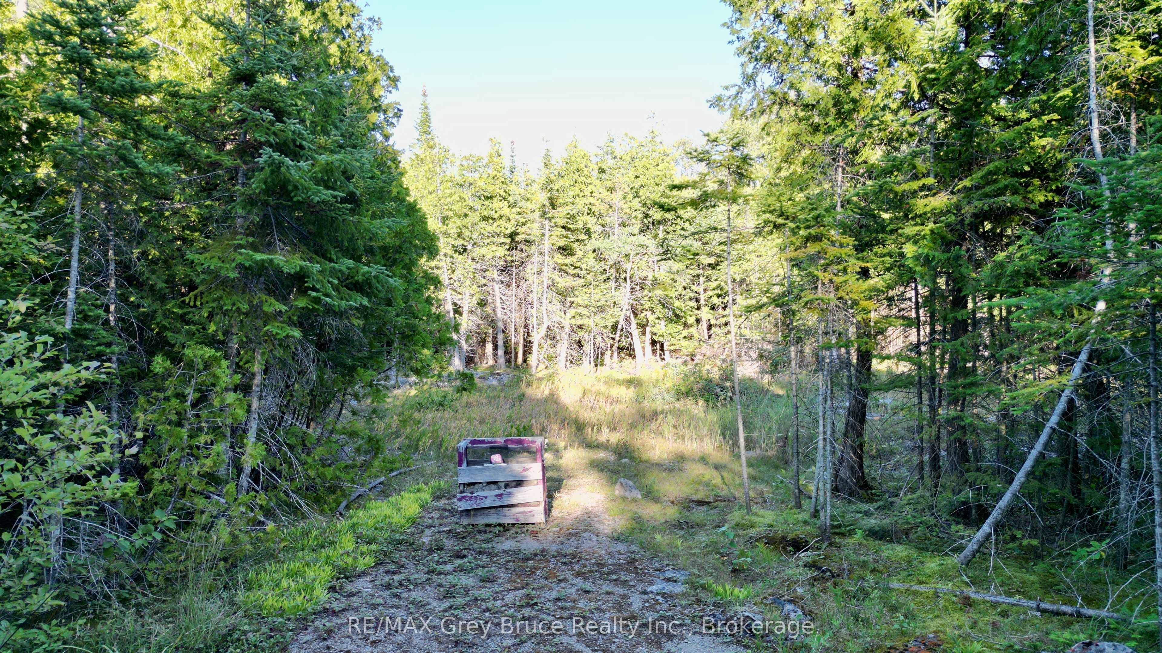 8 Devils Glen, Northern Bruce Peninsula, ON N0H 1X0 photo 4