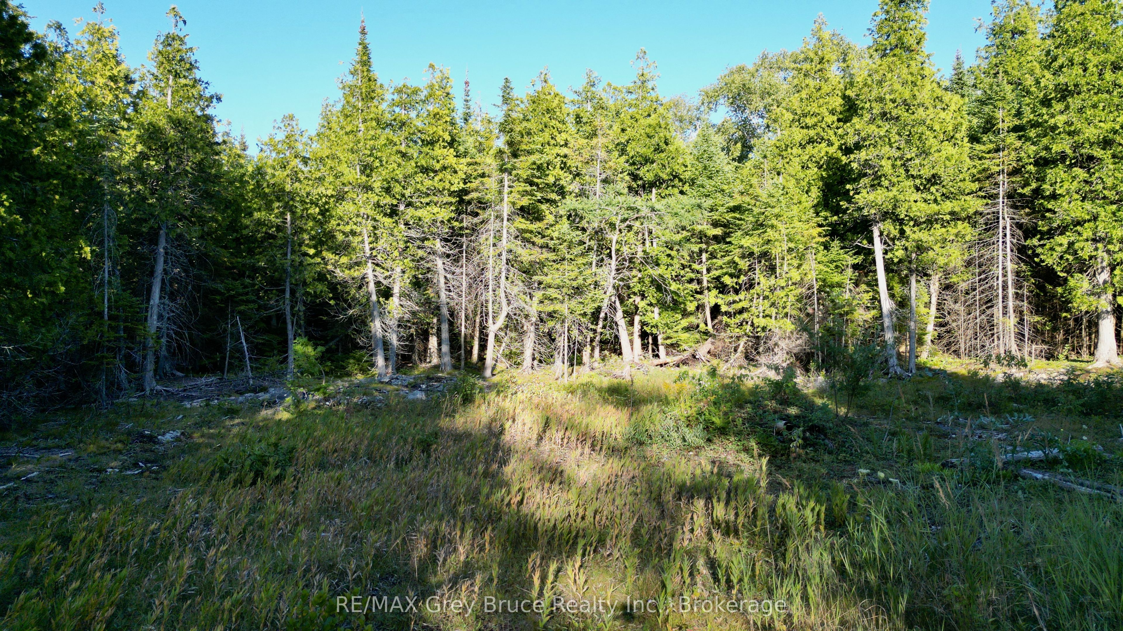 8 Devils Glen, Northern Bruce Peninsula, ON N0H 1X0 photo 5