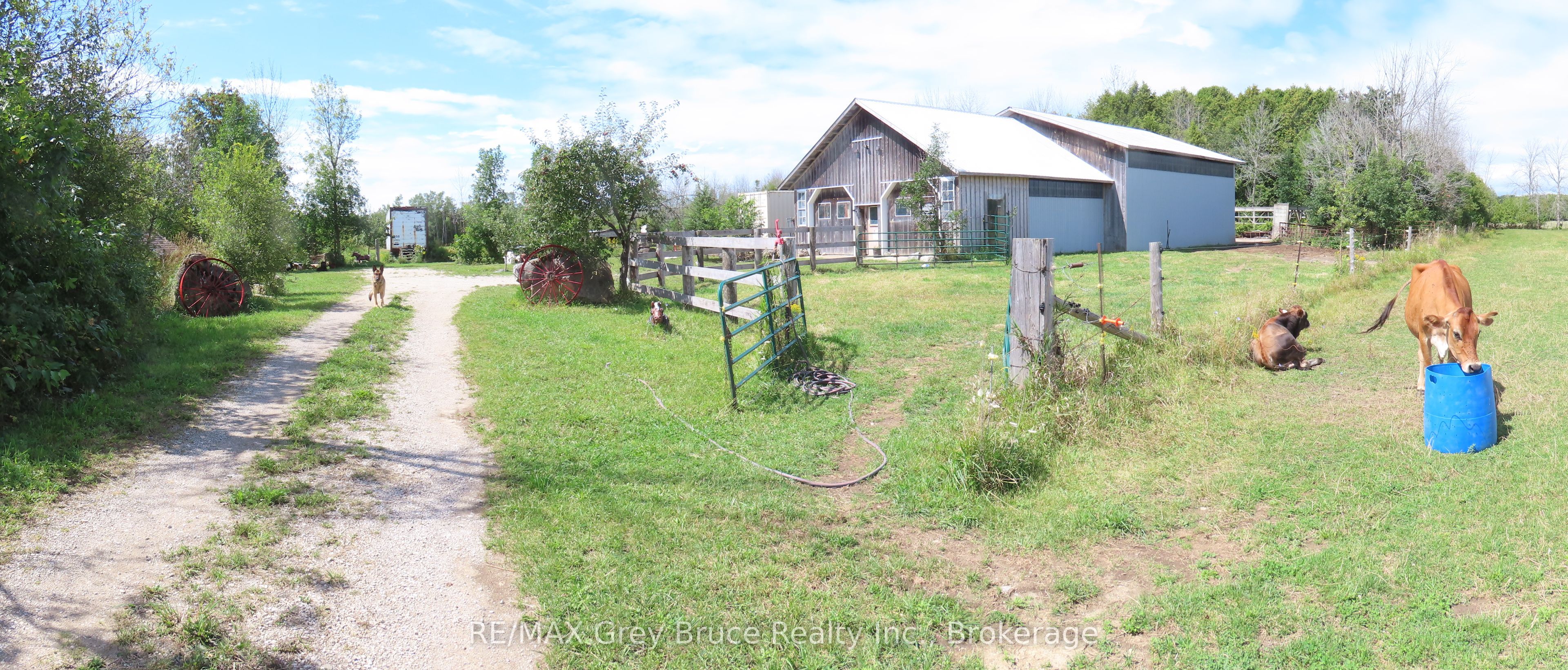 649 The Bury Road, Northern Bruce Peninsula, ON N0H 1W0 photo 5