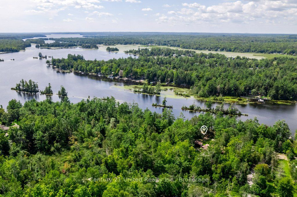 41 Hall Crescent, Trent Lakes, ON K0L 1J0 photo 3