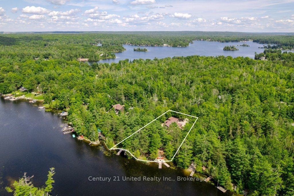 41 Hall Crescent, Trent Lakes, ON K0L 1J0 photo 4