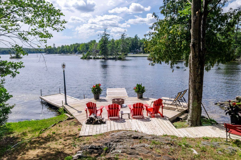 41 Hall Crescent, Trent Lakes, ON K0L 1J0 photo 5