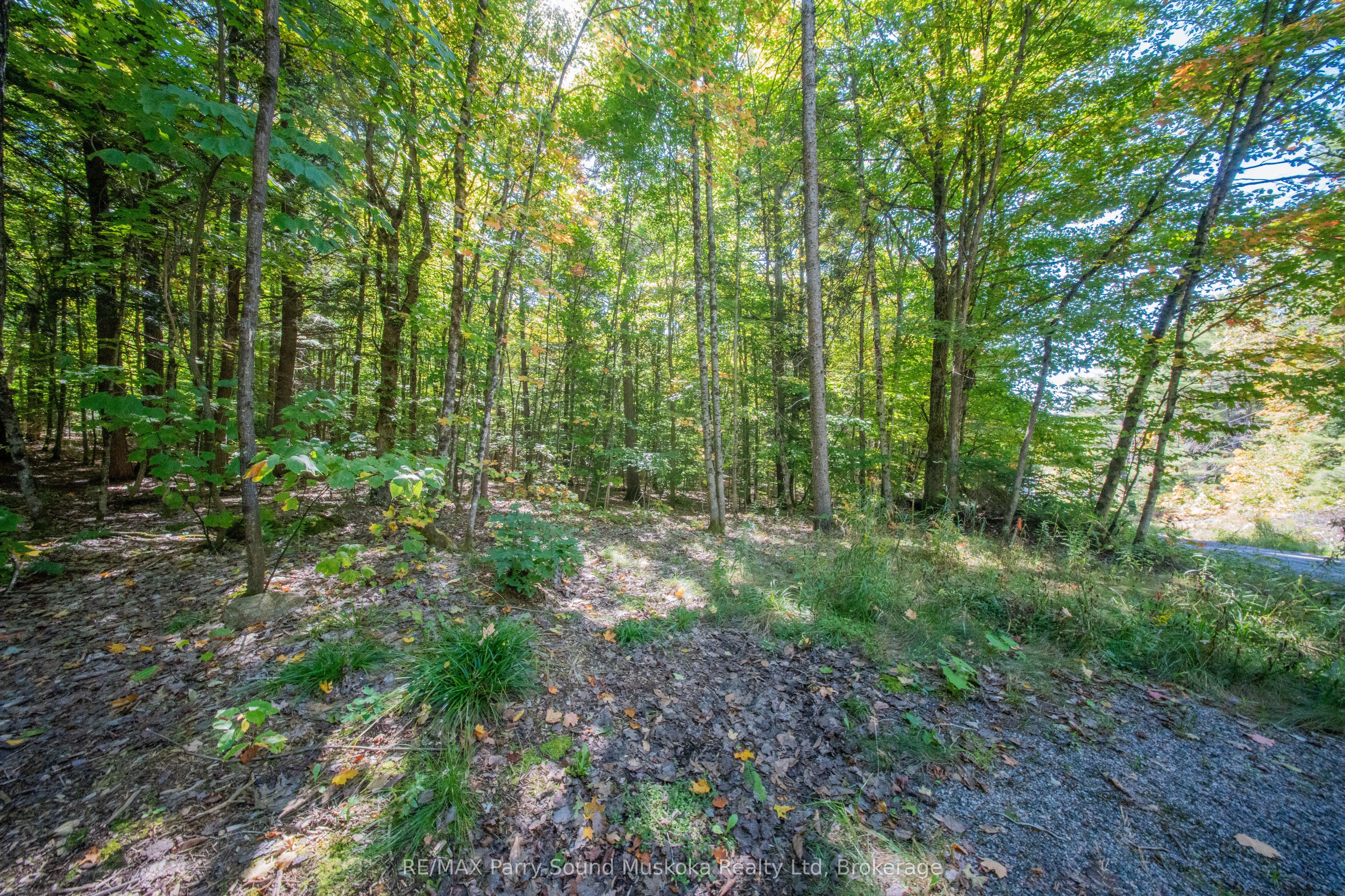 72 McCauley Road, Seguin, ON P0C 1J0 photo 2