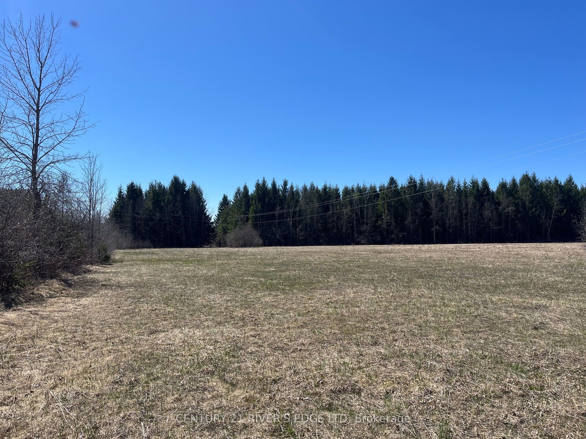 00 Branch Road, Augusta, ON K0G 1R0 photo 2