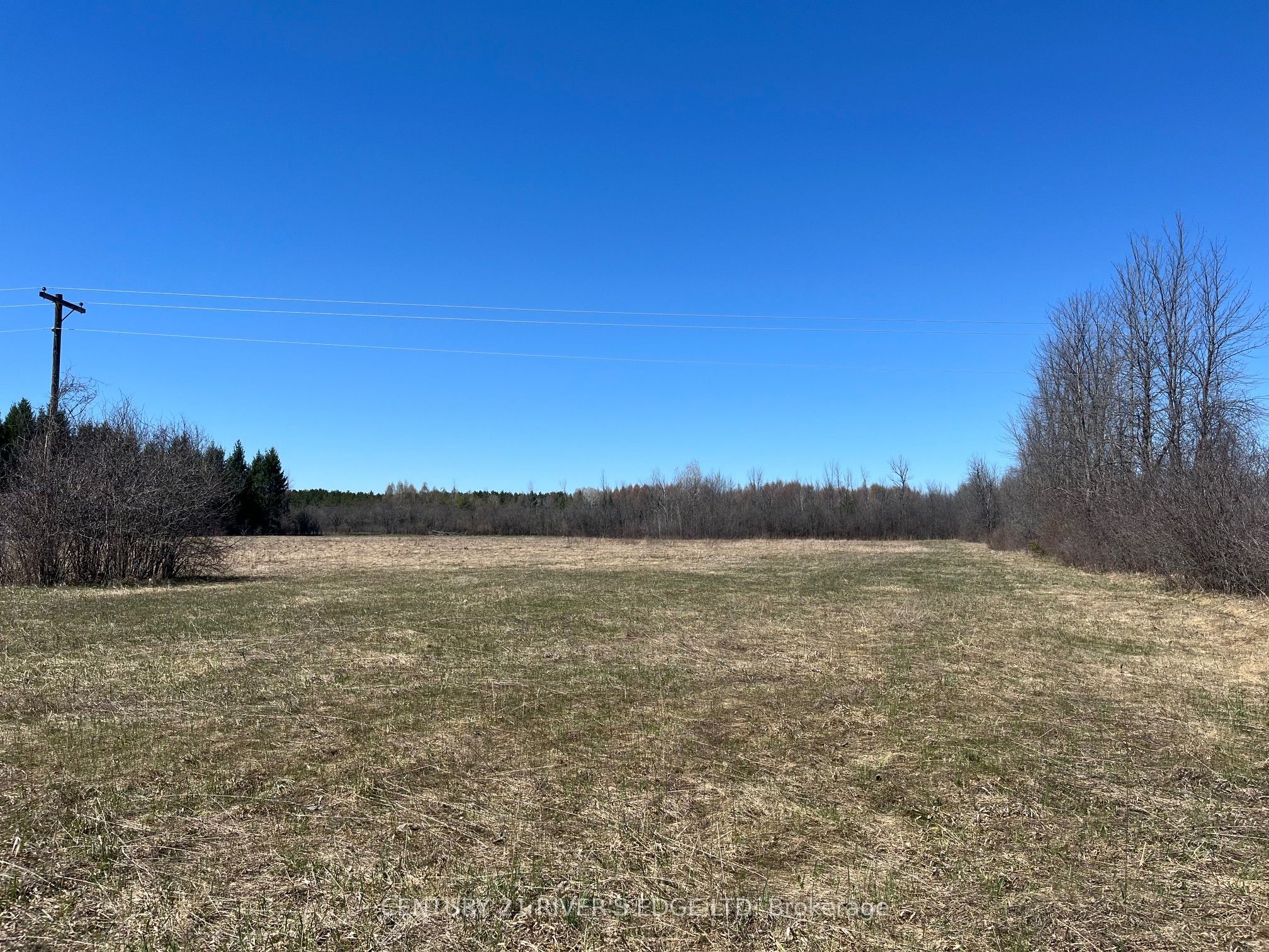 00 Branch Road, Augusta, ON K0G 1R0 photo 3