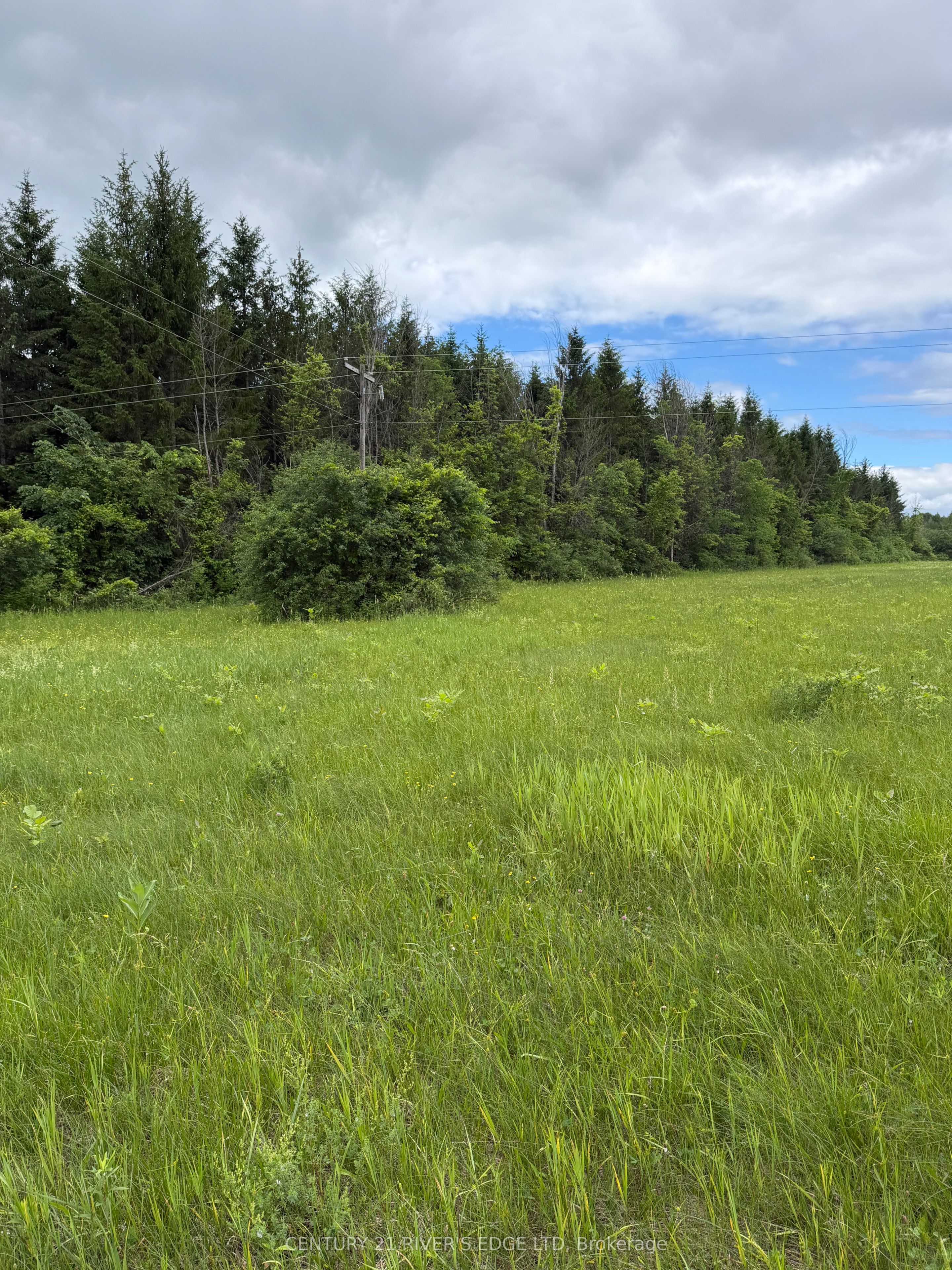 00 Branch Road, Augusta, ON K0G 1R0 photo 4
