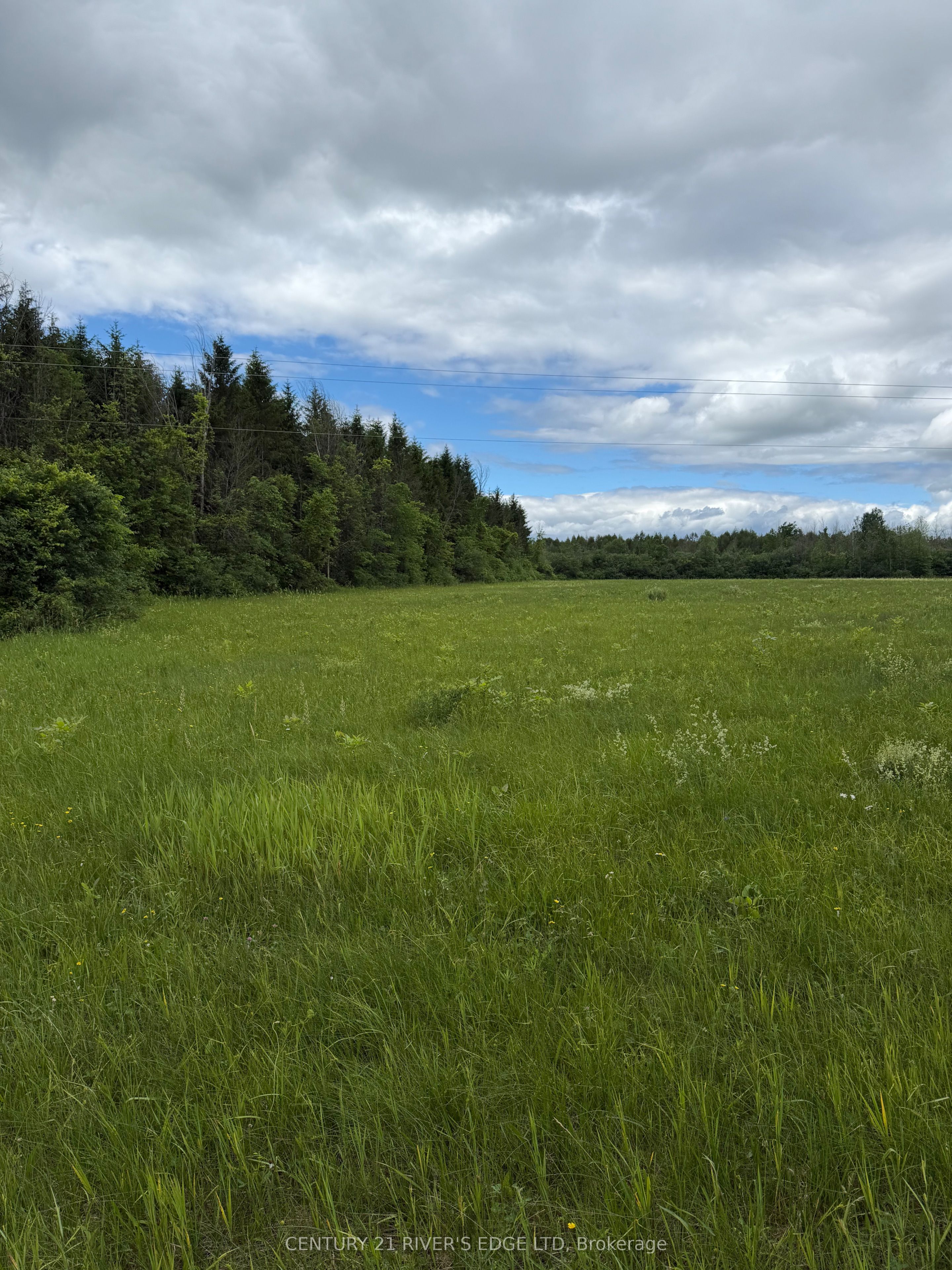 00 Branch Road, Augusta, ON K0G 1R0 photo 5