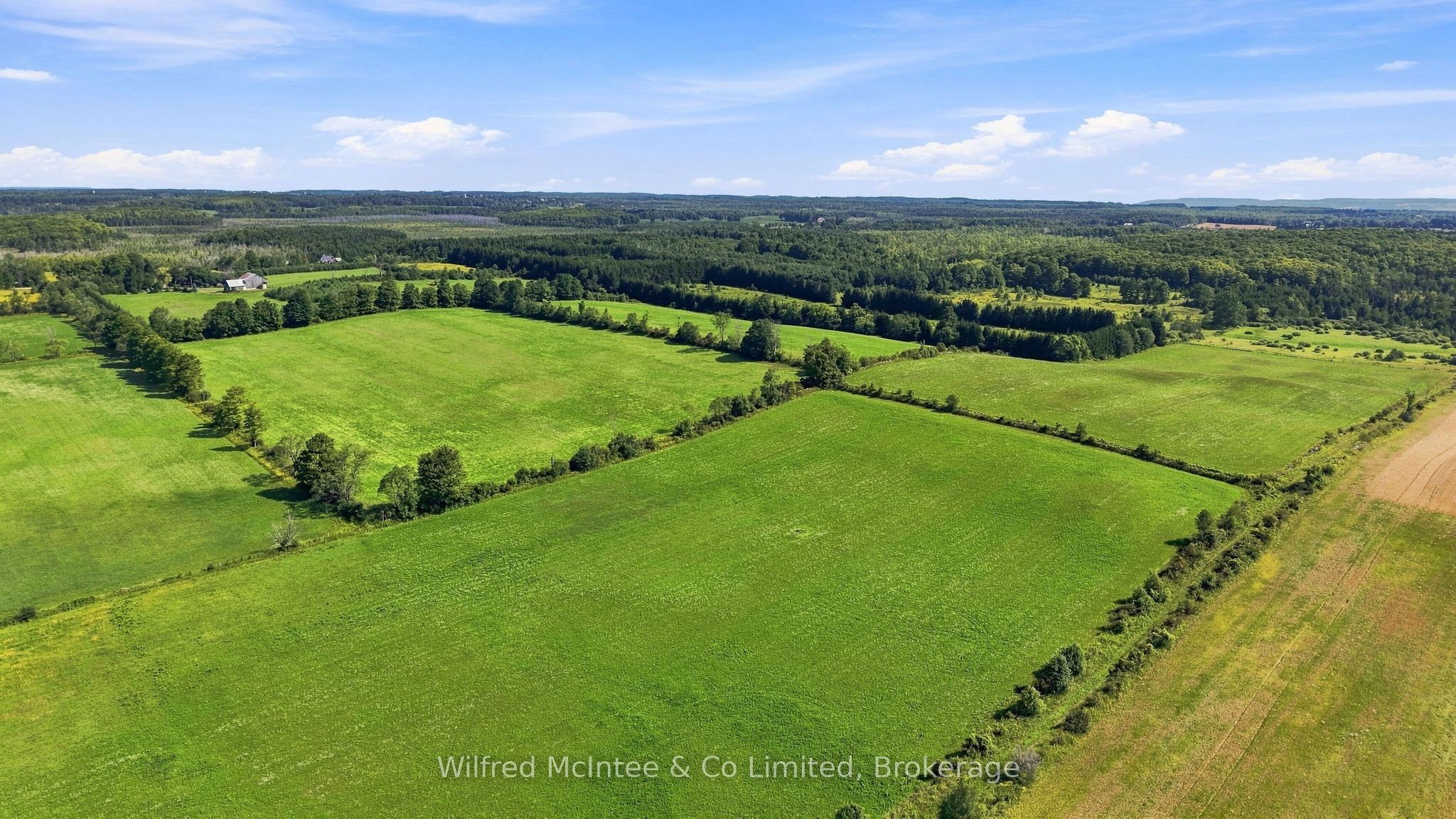 605324 SIDEROAD 13A, Grey Highlands, ON N0C 1H0 photo 5