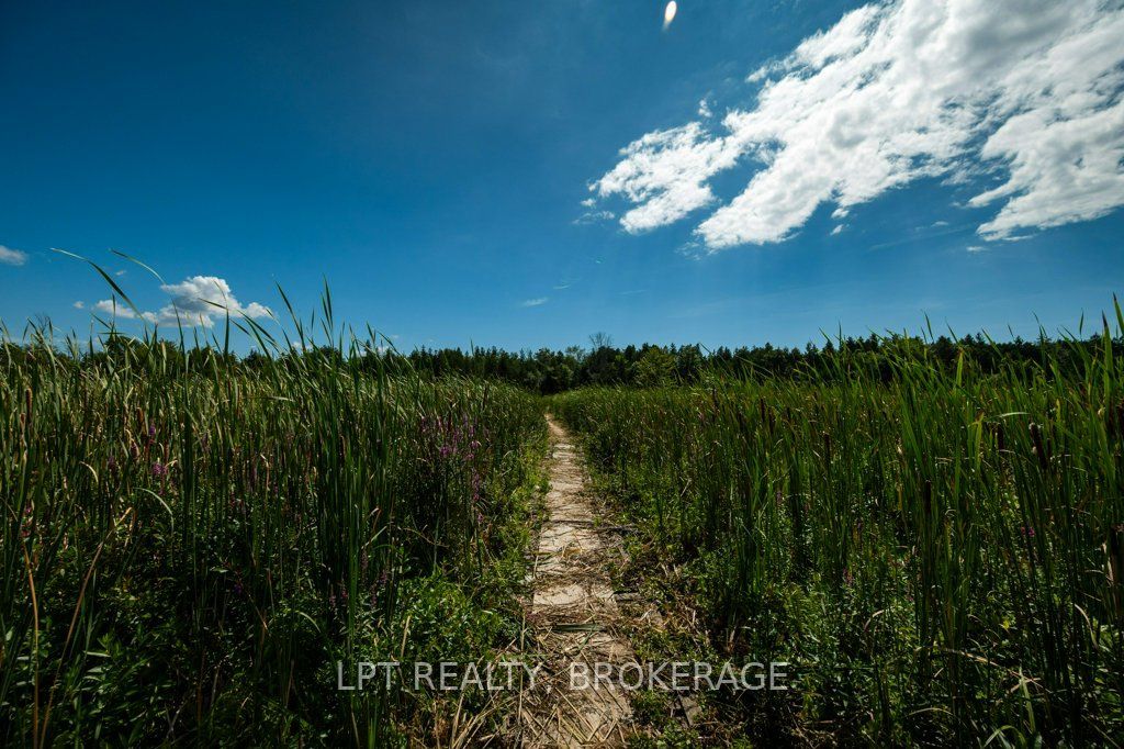 4404 Unity Road, Kingston, ON K0H 2H0 photo 5