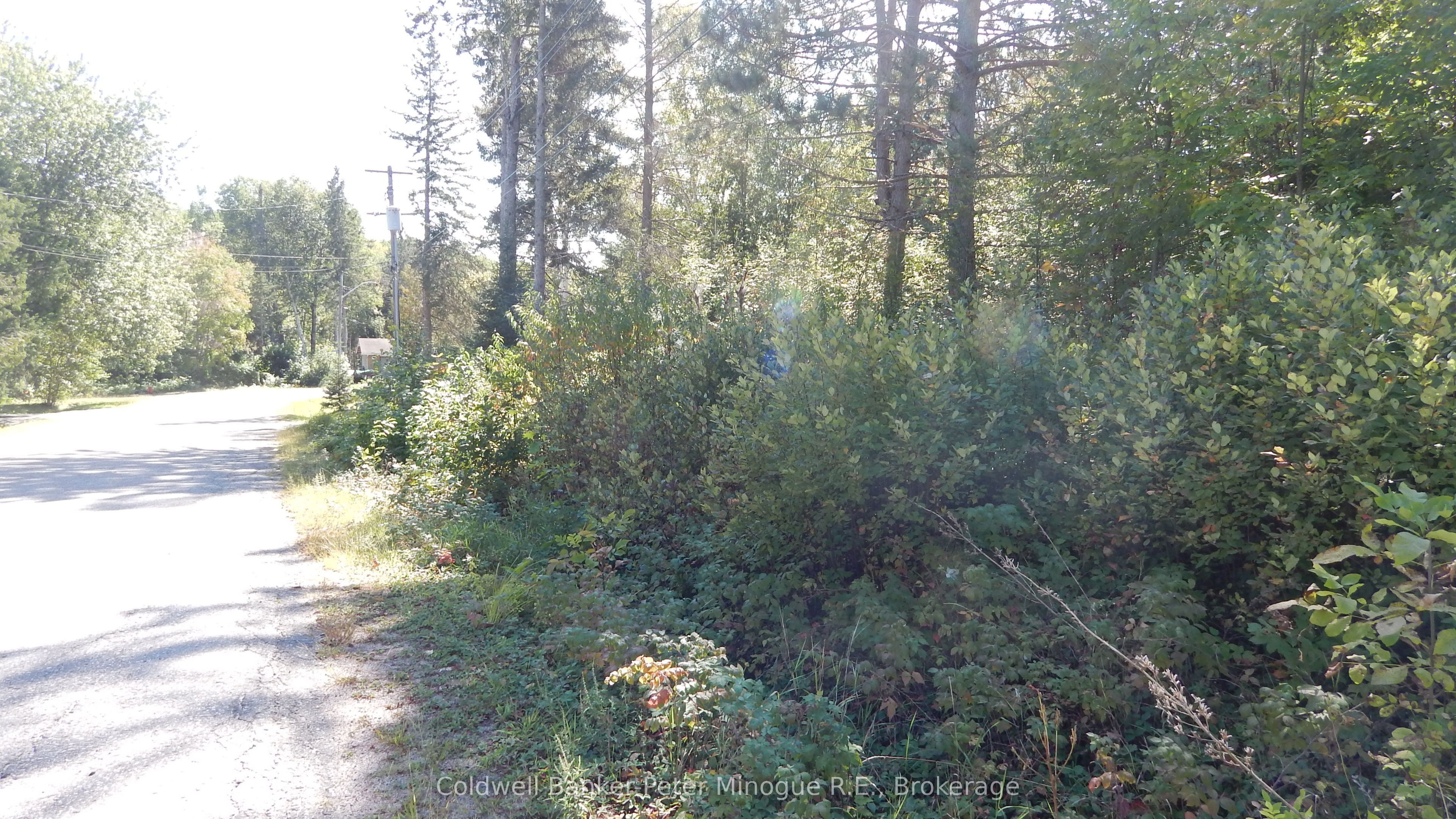 Lot 25 DEVELOPMENT Road, Bonfield, ON P0H 2E0 photo 3
