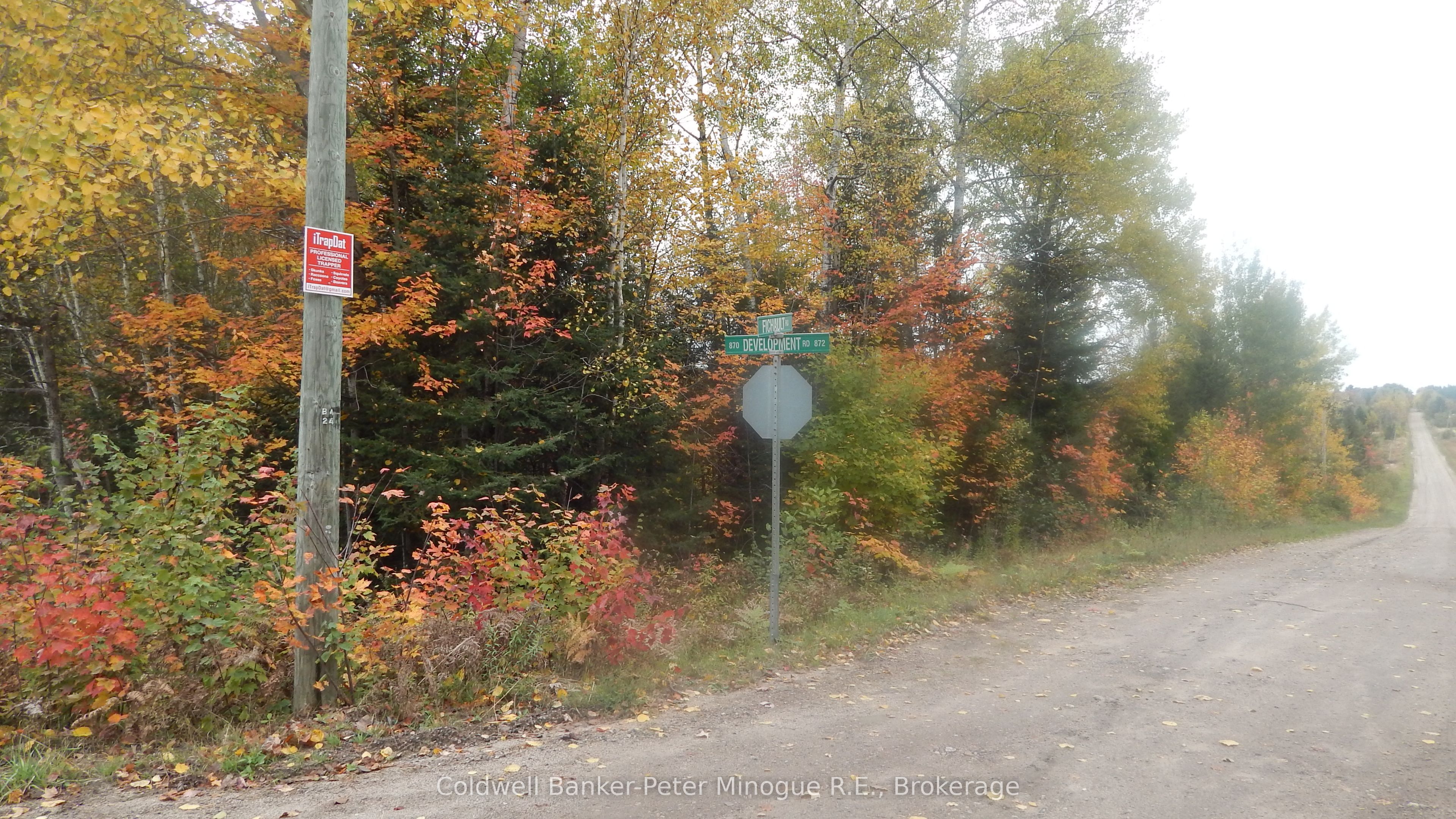 Lot 25 DEVELOPMENT Road, Bonfield, ON P0H 2E0 photo 4