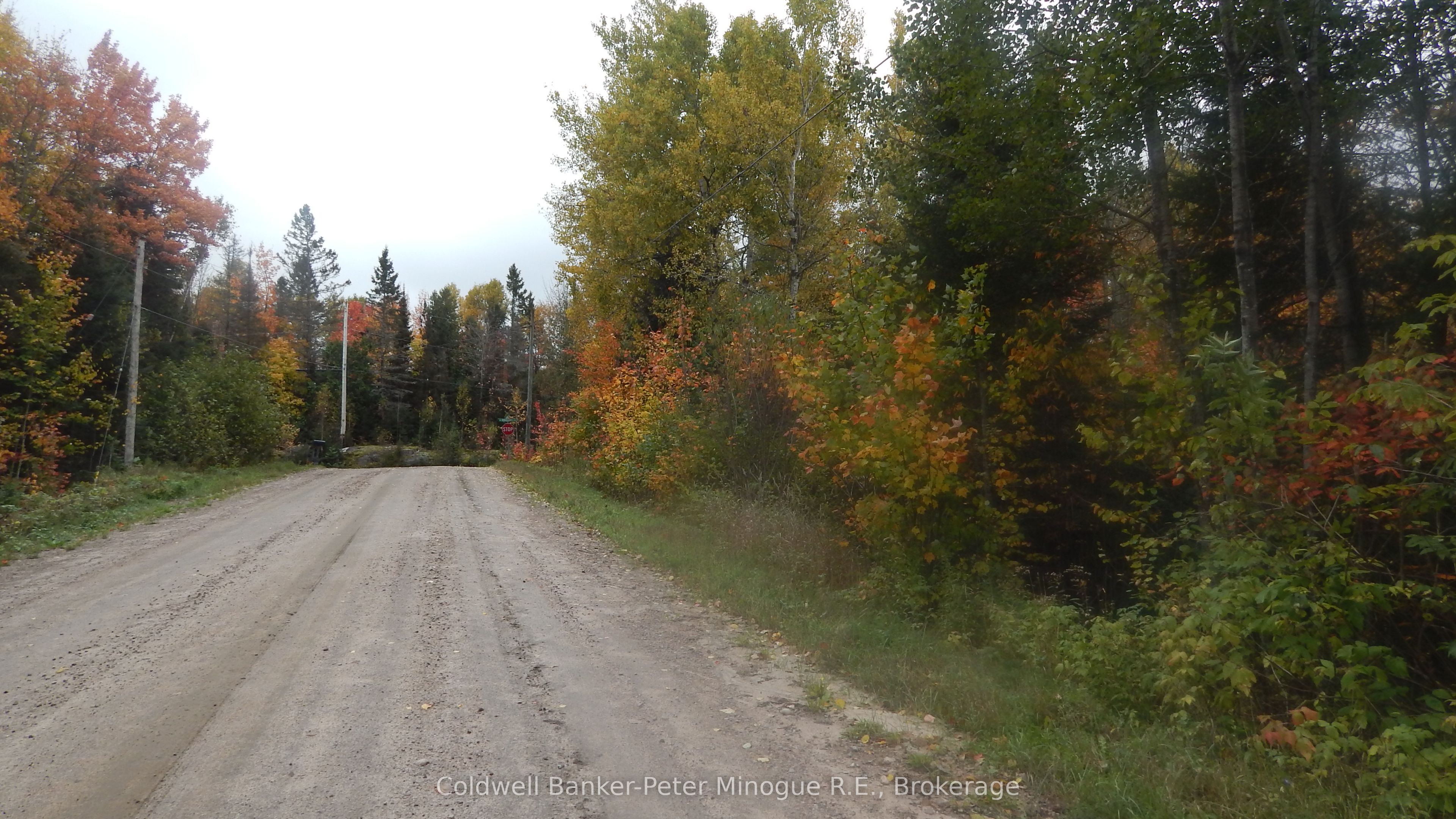 Lot 25 DEVELOPMENT Road, Bonfield, ON P0H 2E0 photo 5