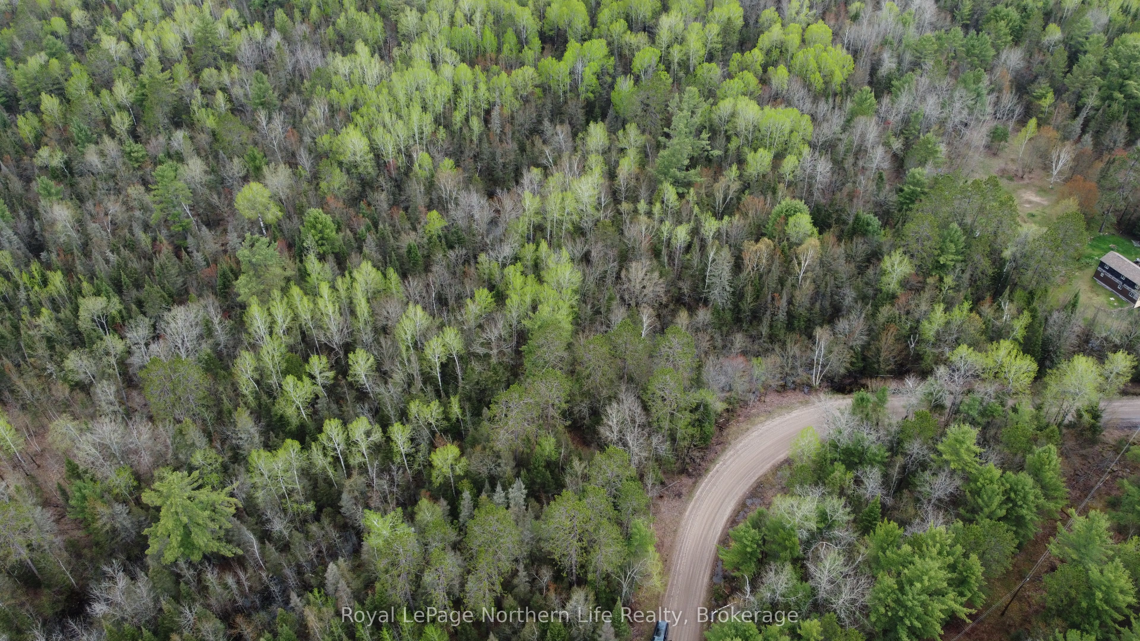 LOT 16 PART 2, SUZANNES Road, Calvin, ON P0H 1V0 photo 2