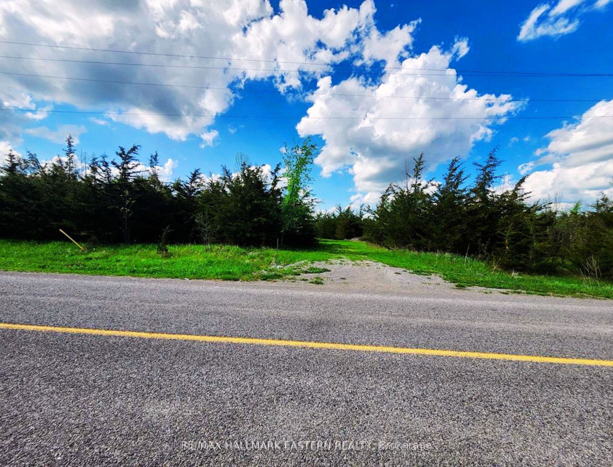 2098 13th Line E, Trent Hills, ON K0K 2M0 photo 5