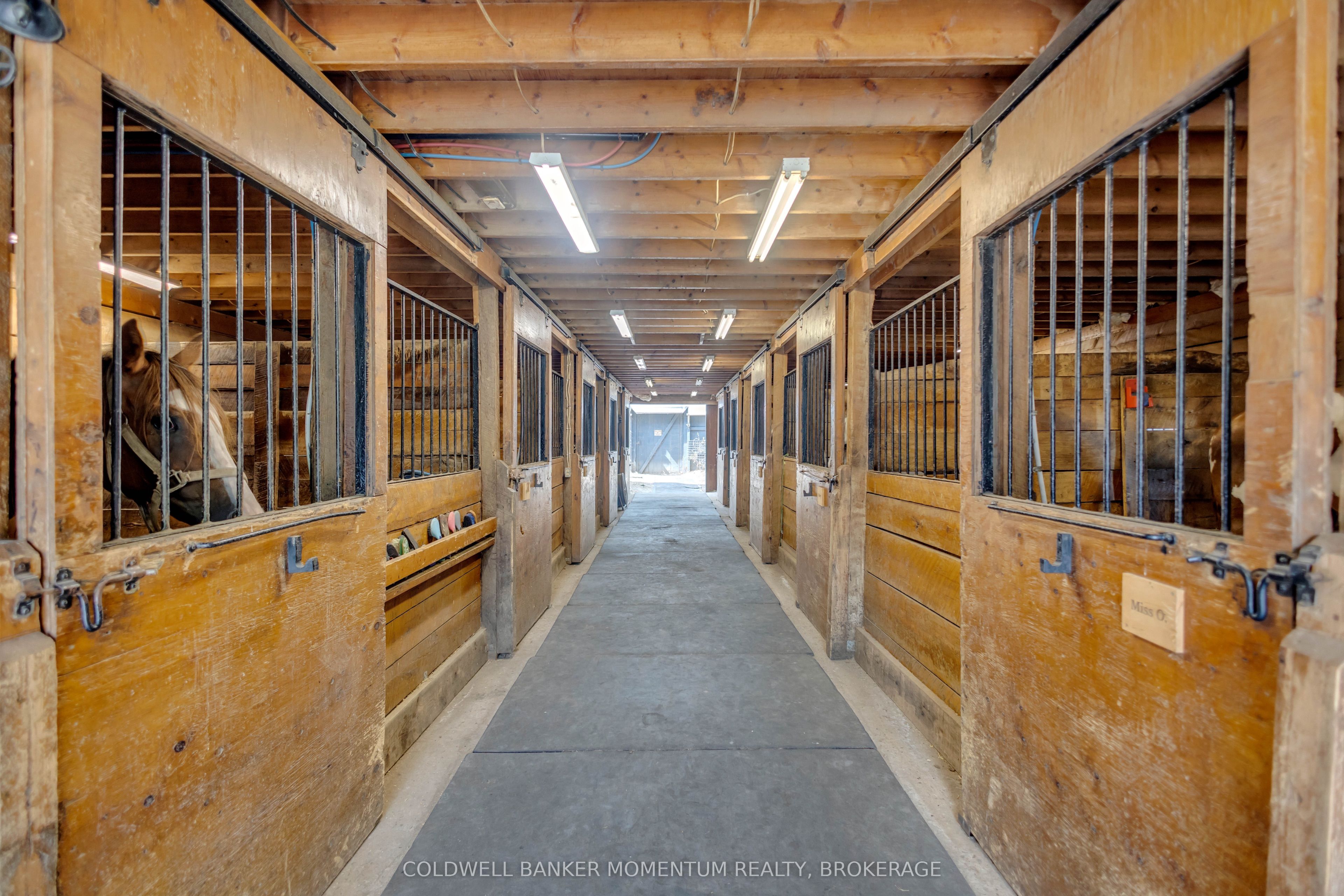 1684 4th Concession Road, Norfolk, ON N0E 1P0