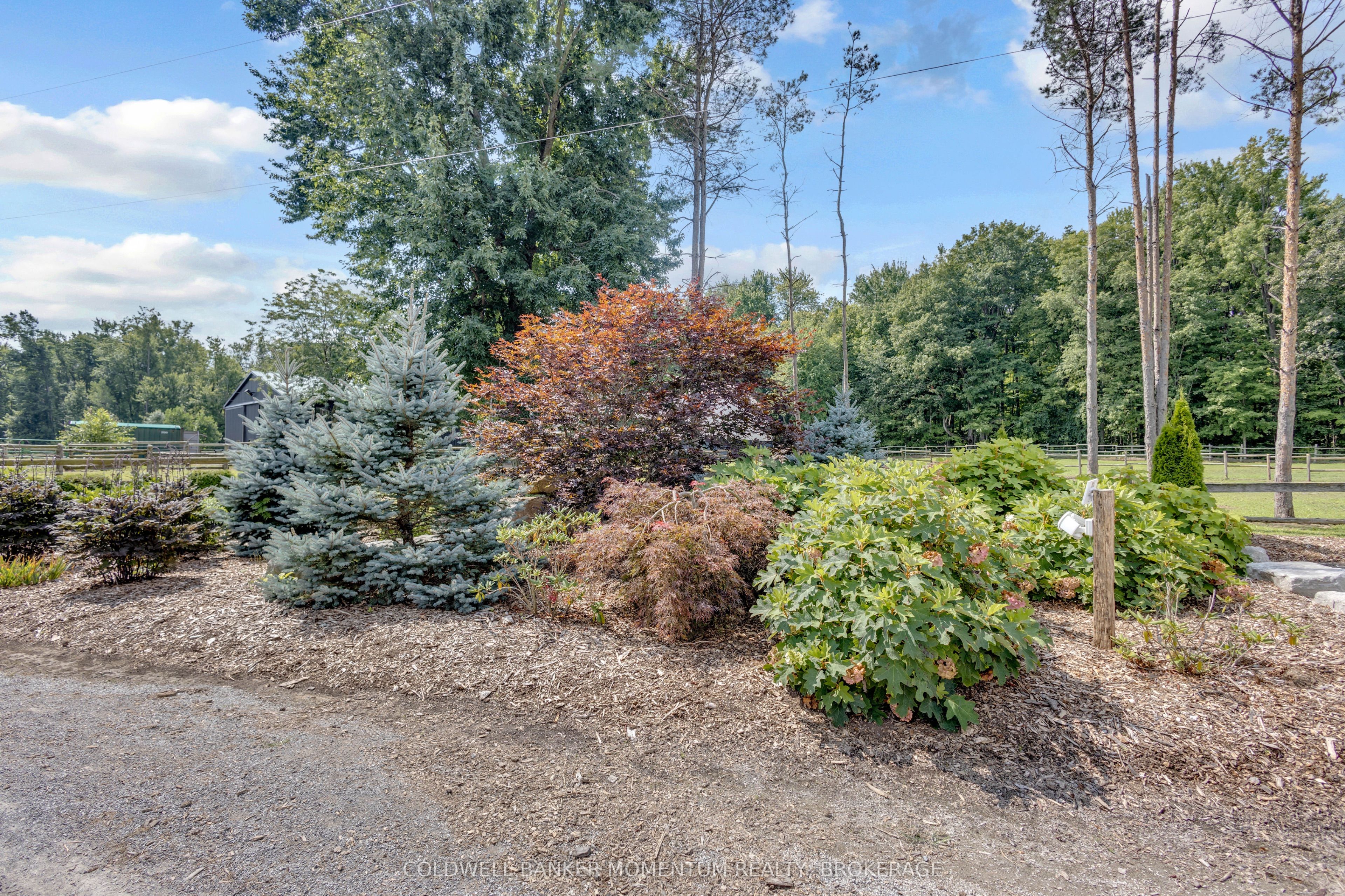 1684 4th Concession Road, Norfolk, ON N0E 1P0 photo 3