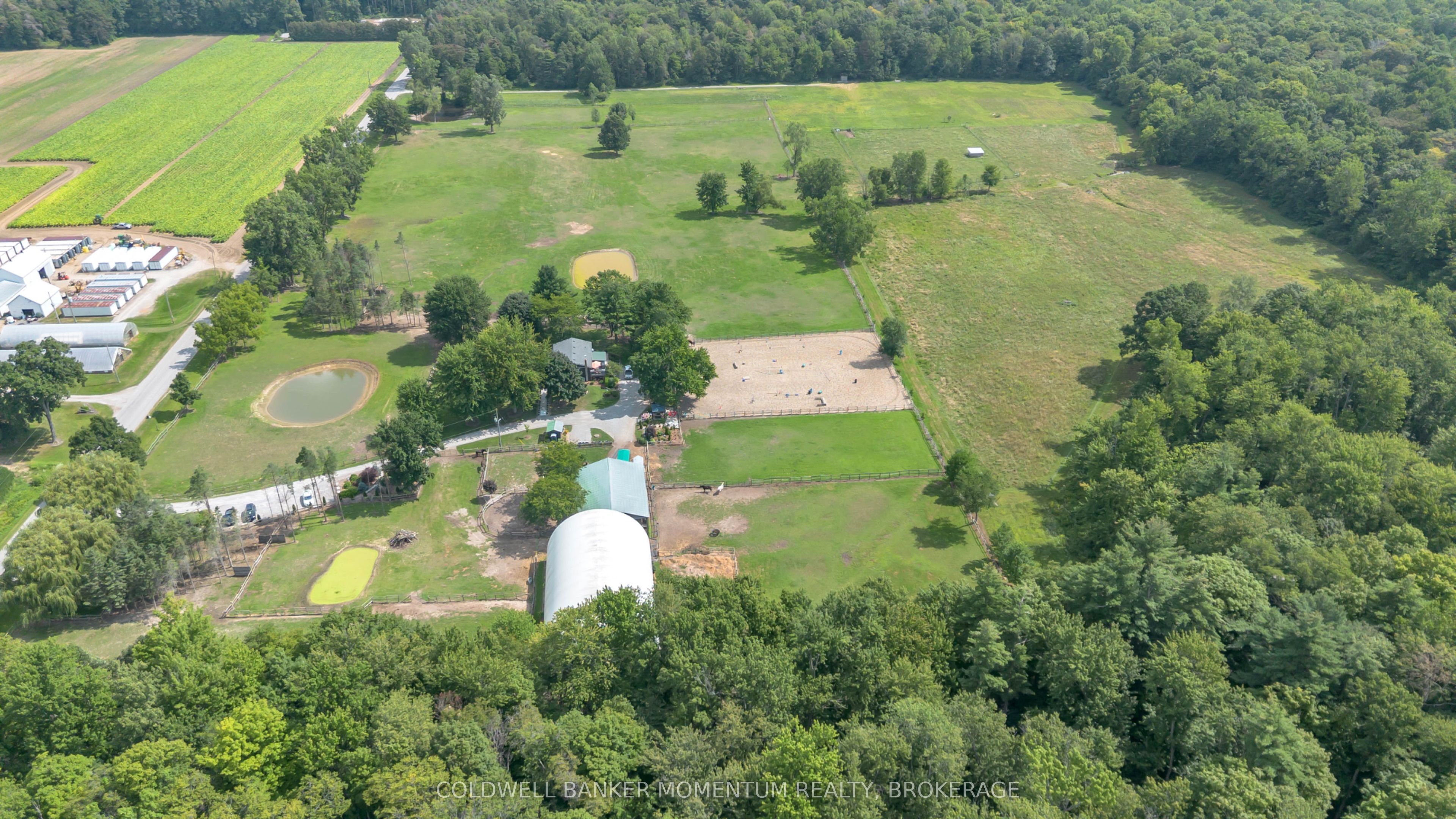 1684 4th Concession Road, Norfolk, ON N0E 1P0 photo 4