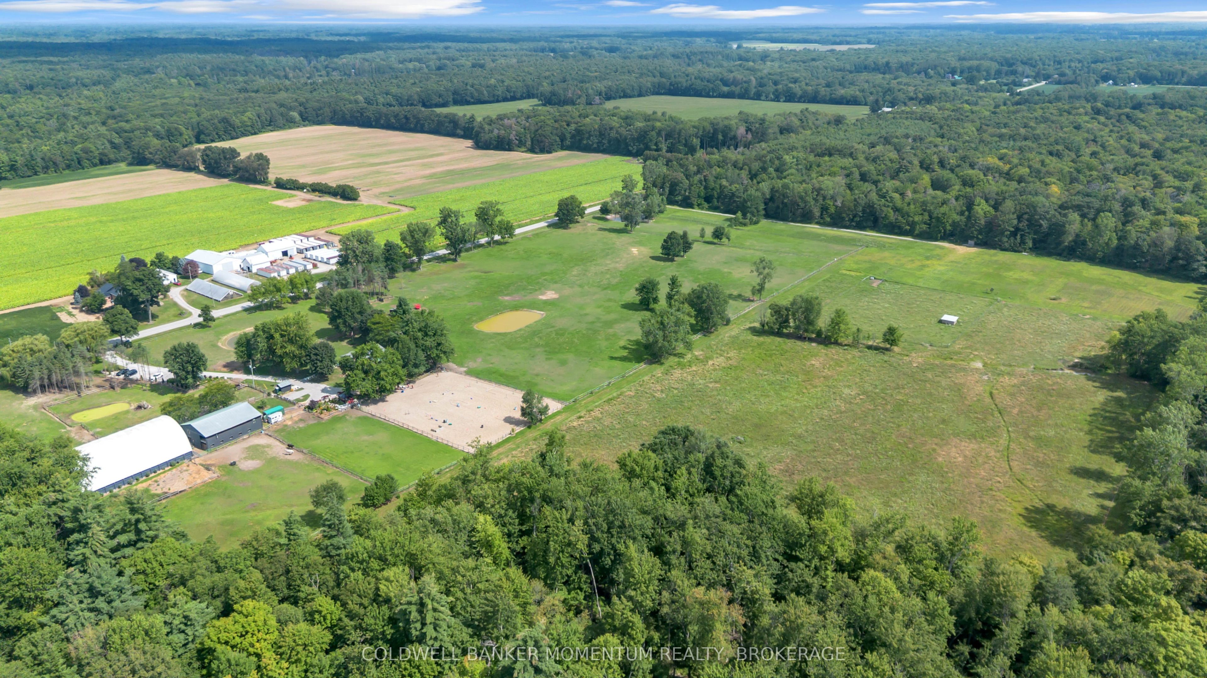 1684 4th Concession Road, Norfolk, ON N0E 1P0 photo 5