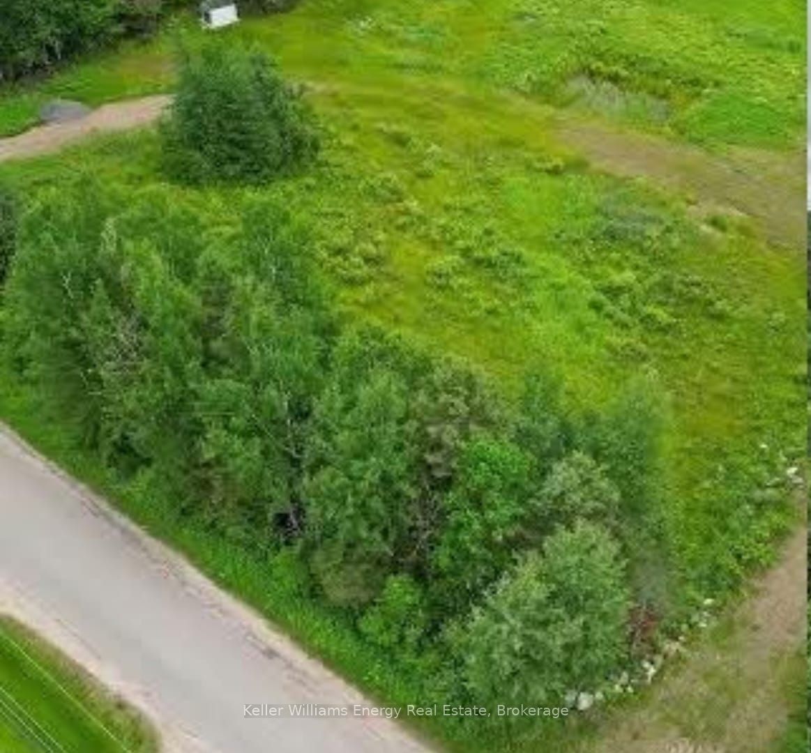 364 Trunk Road, Bonfield, ON P0H 1E0 photo 3