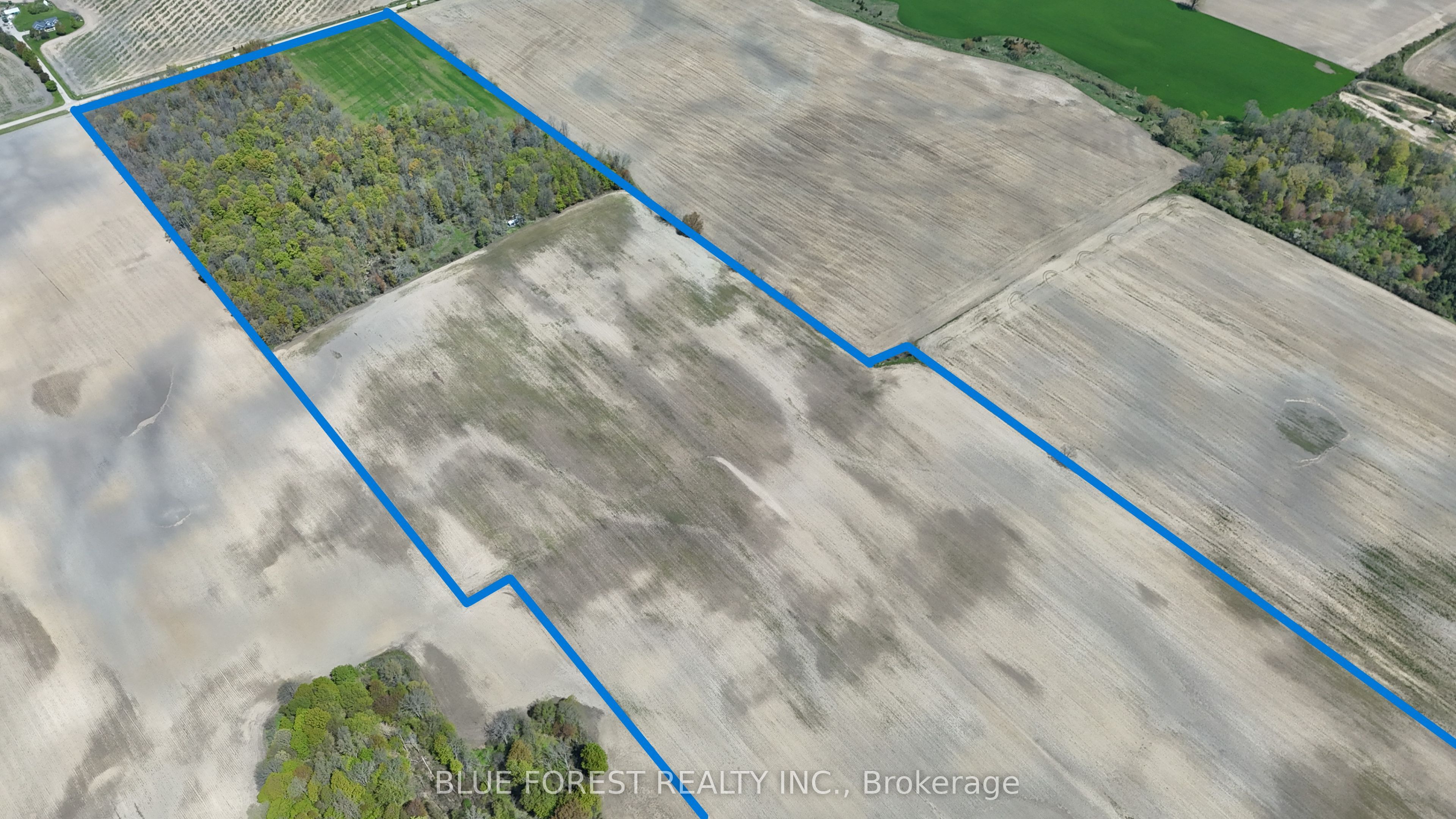32630 Talbot Line, Dutton/Dunwich, ON N0L 1P0 photo 5