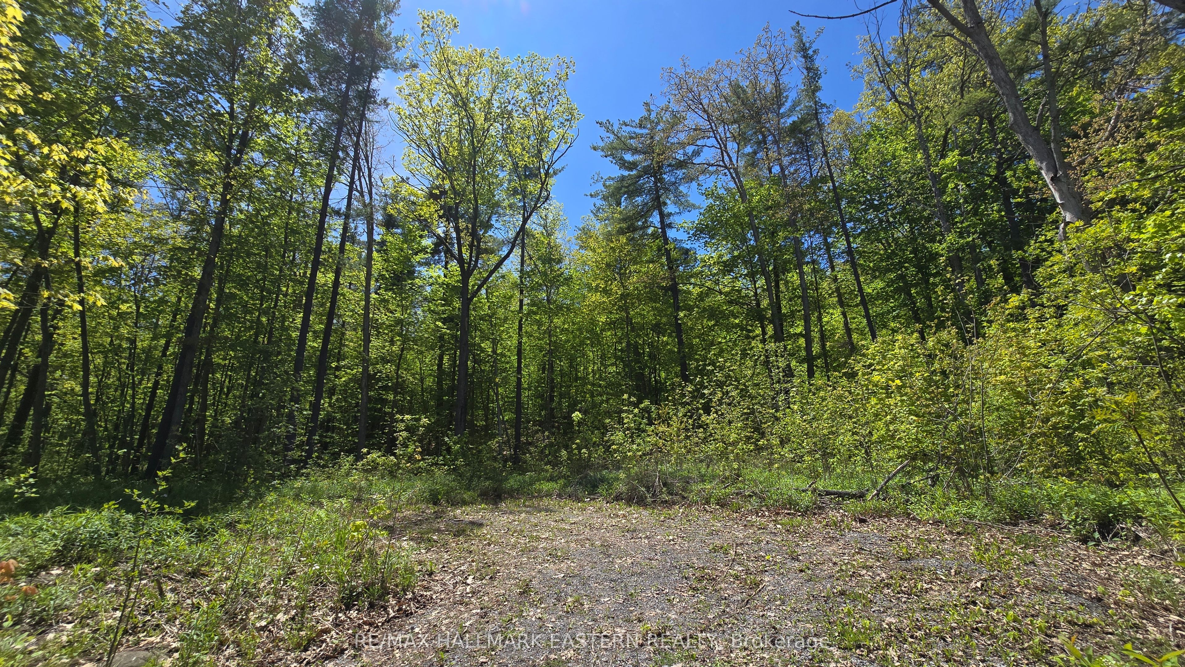 N/A County Road 30, Trent Hills, ON K0L 1L0 photo 4