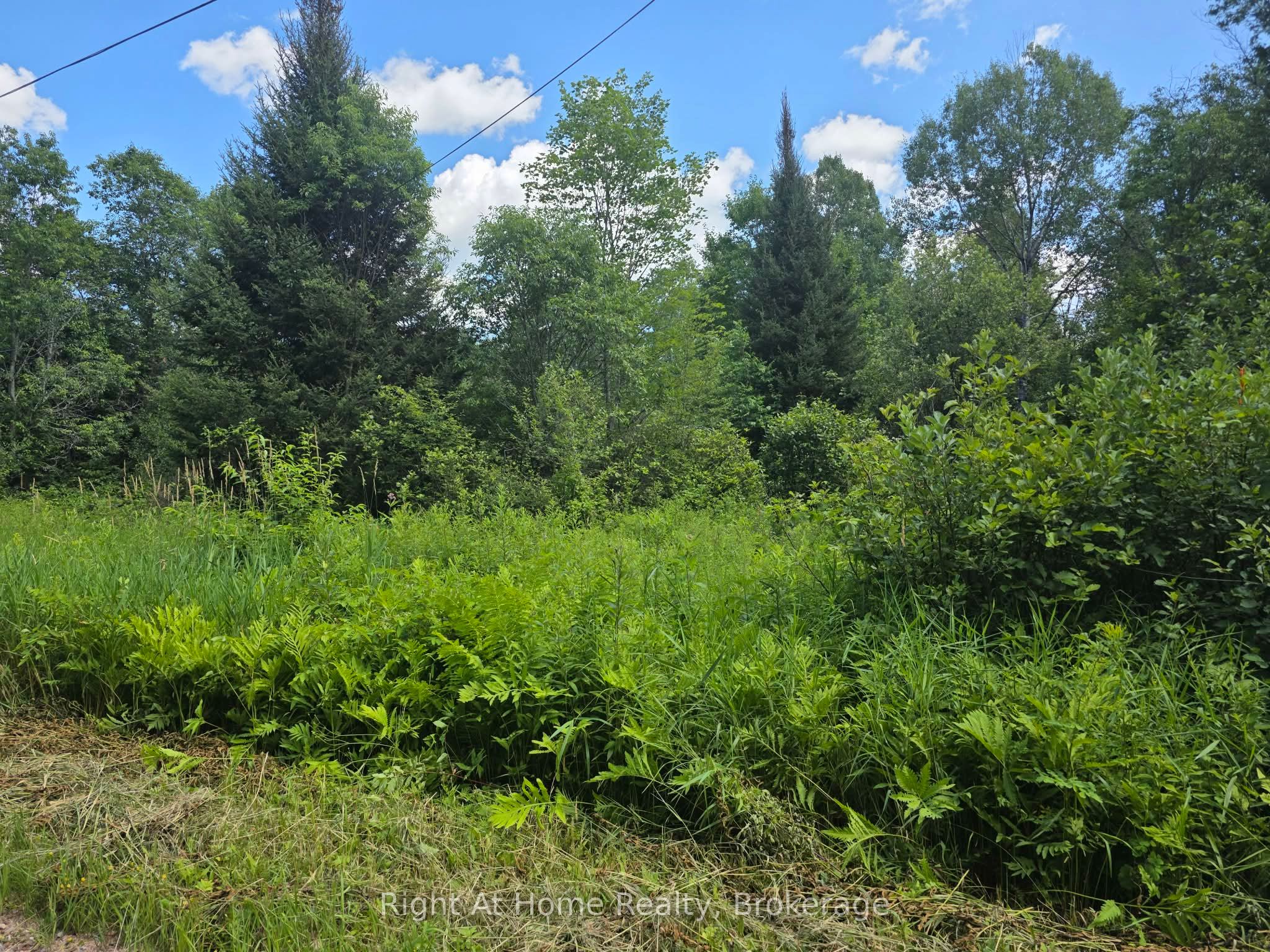 PT LT 27 CON 2 Grand Desert Road, Bonfield, ON P0H 2E0 photo 2