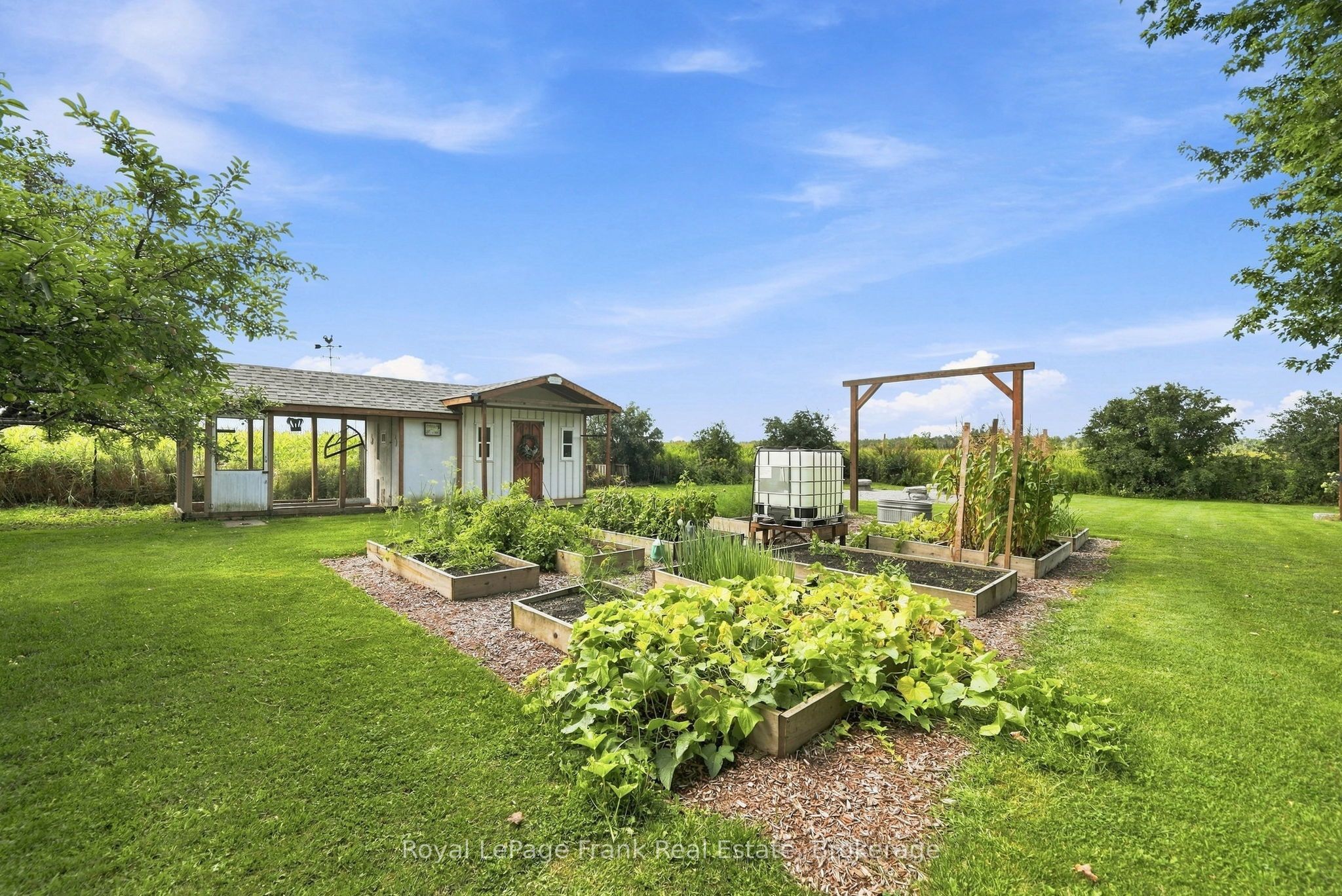 1235 Heights Road, Kawartha Lakes, ON K9V 4R3 photo 4