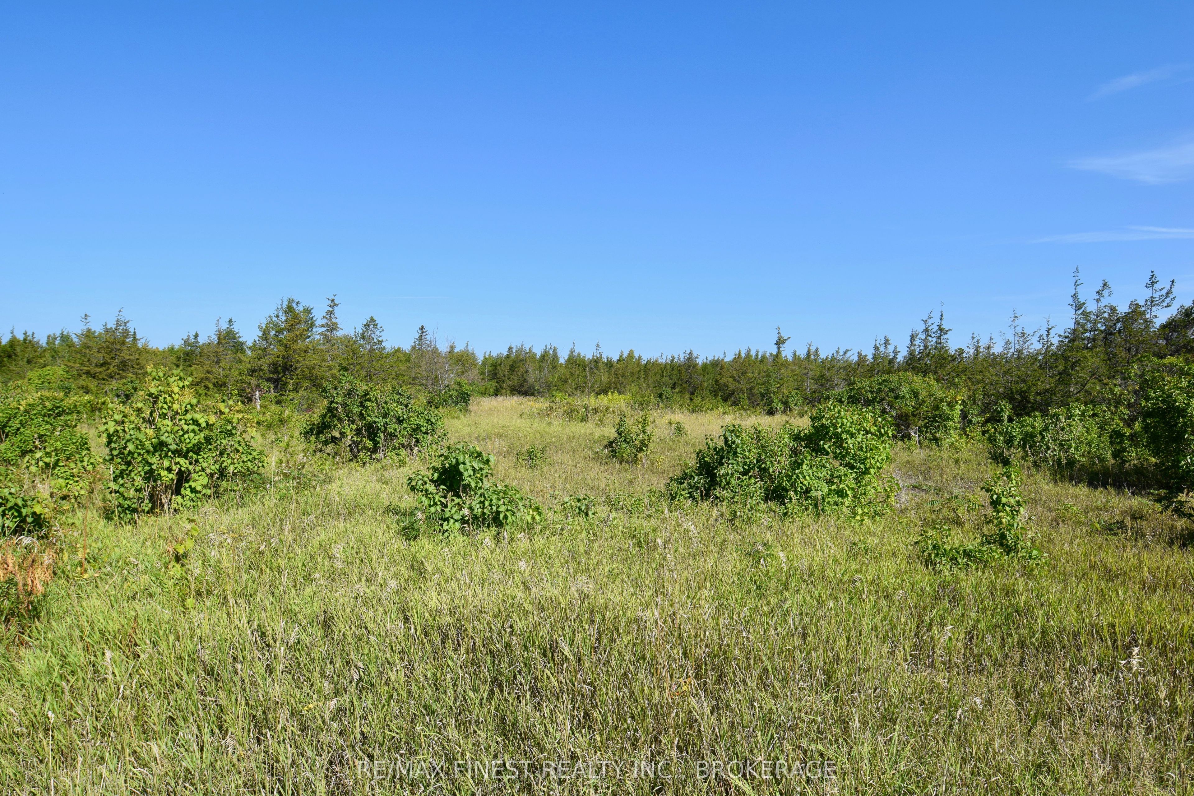 Lot 16 Westplain Road, Greater Napanee, ON K0K 2W0 photo 2