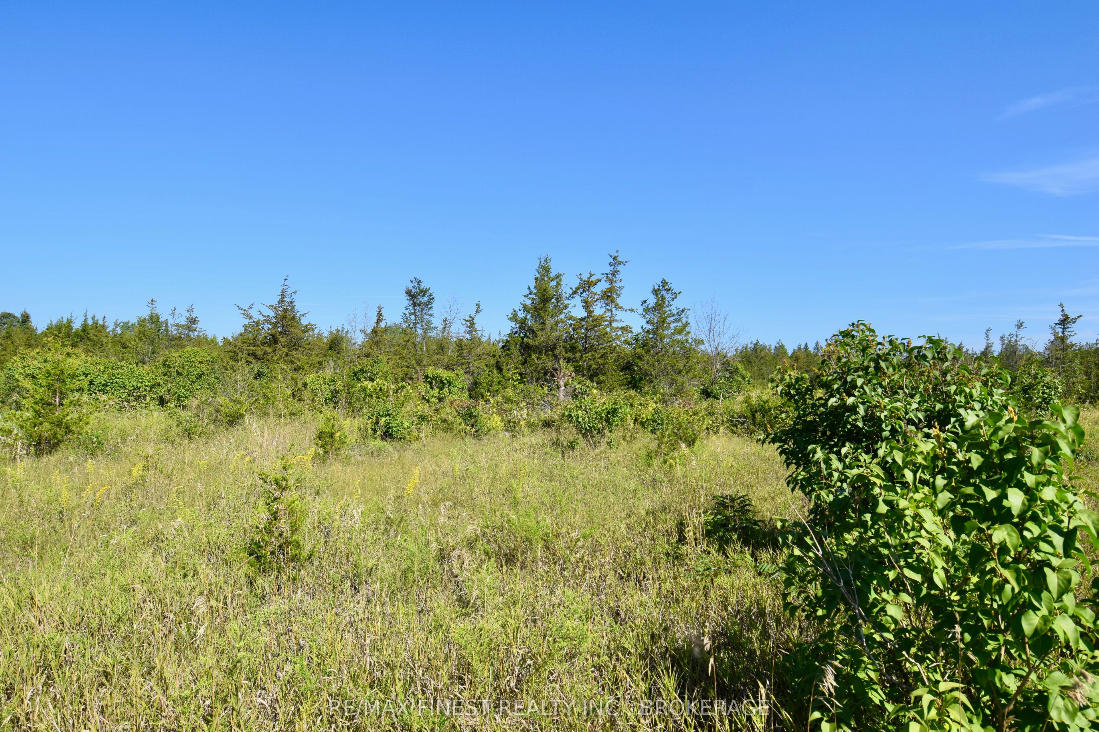 Lot 16 Westplain Road, Greater Napanee, ON K0K 2W0 photo 3