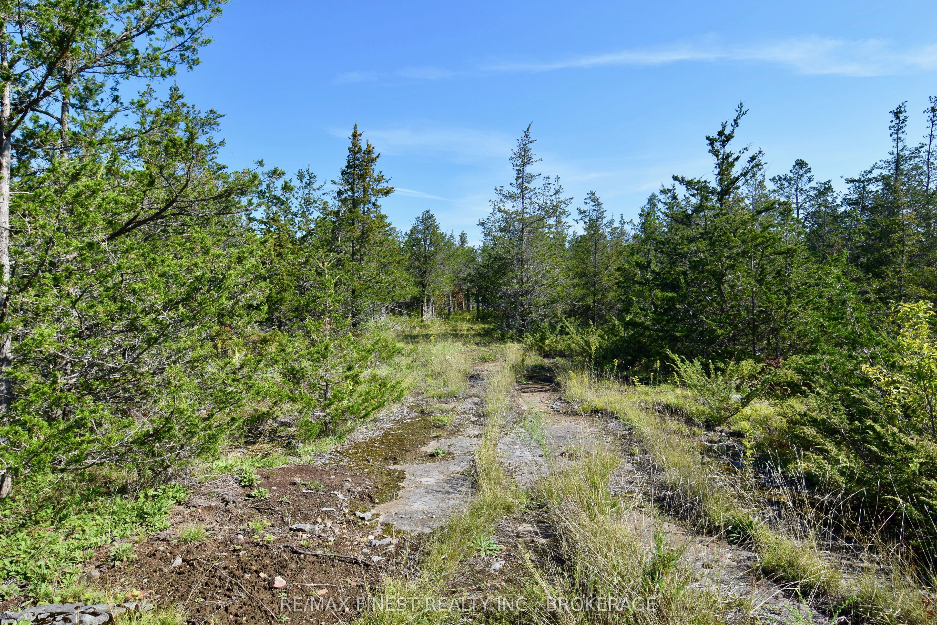 Lot 16 Westplain Road, Greater Napanee, ON K0K 2W0 photo 5