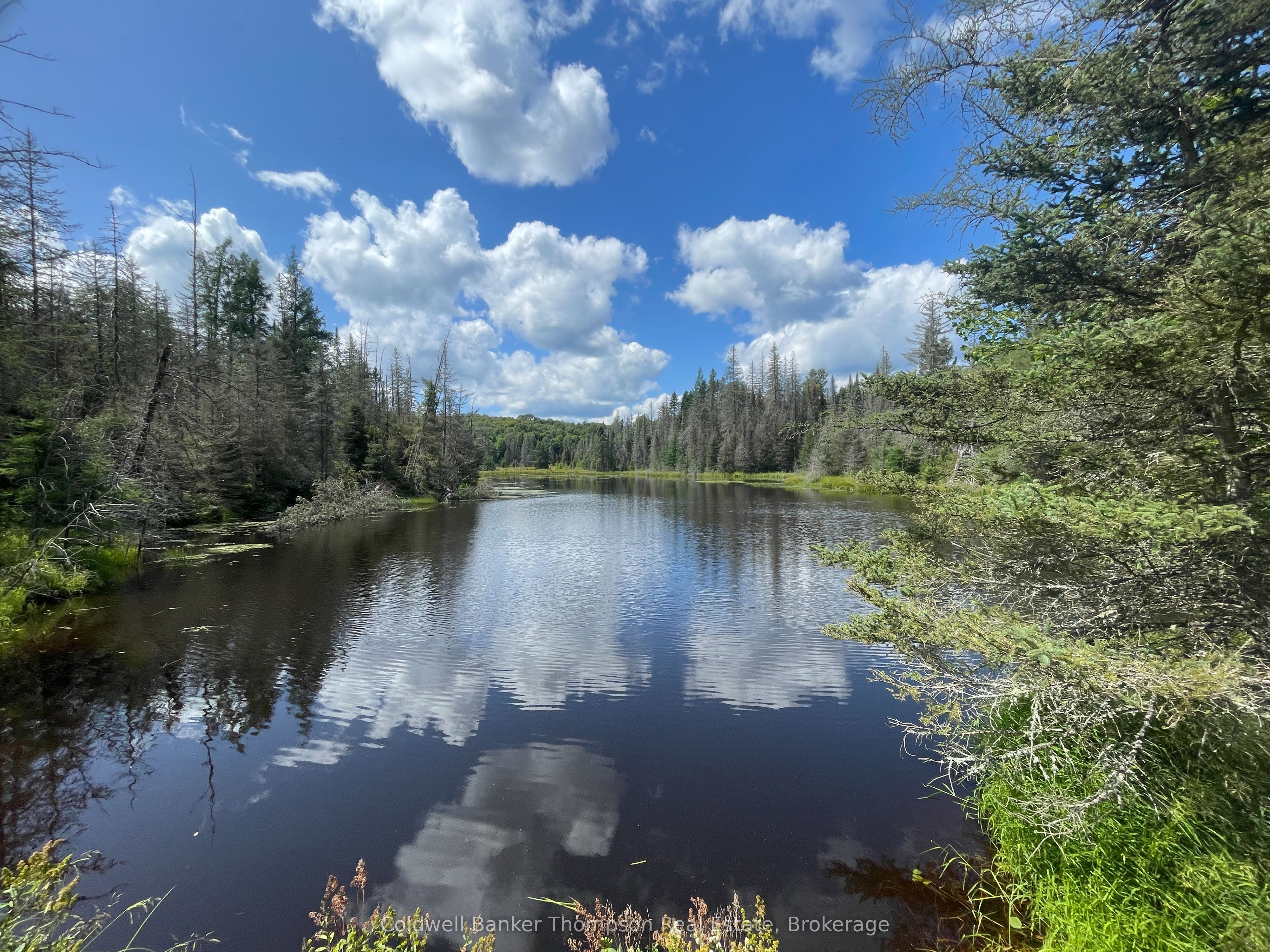 458 Leighton Road, Machar, ON P0A 1X0 photo 3