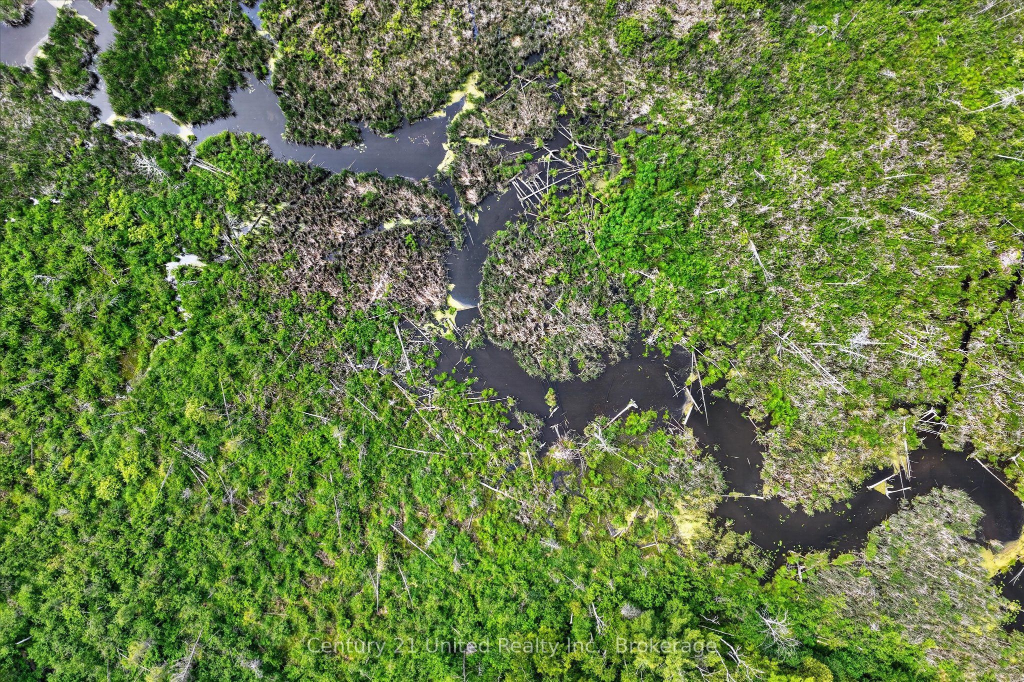 93 Loop Line, Kawartha Lakes, ON K0L 2W0 photo 4