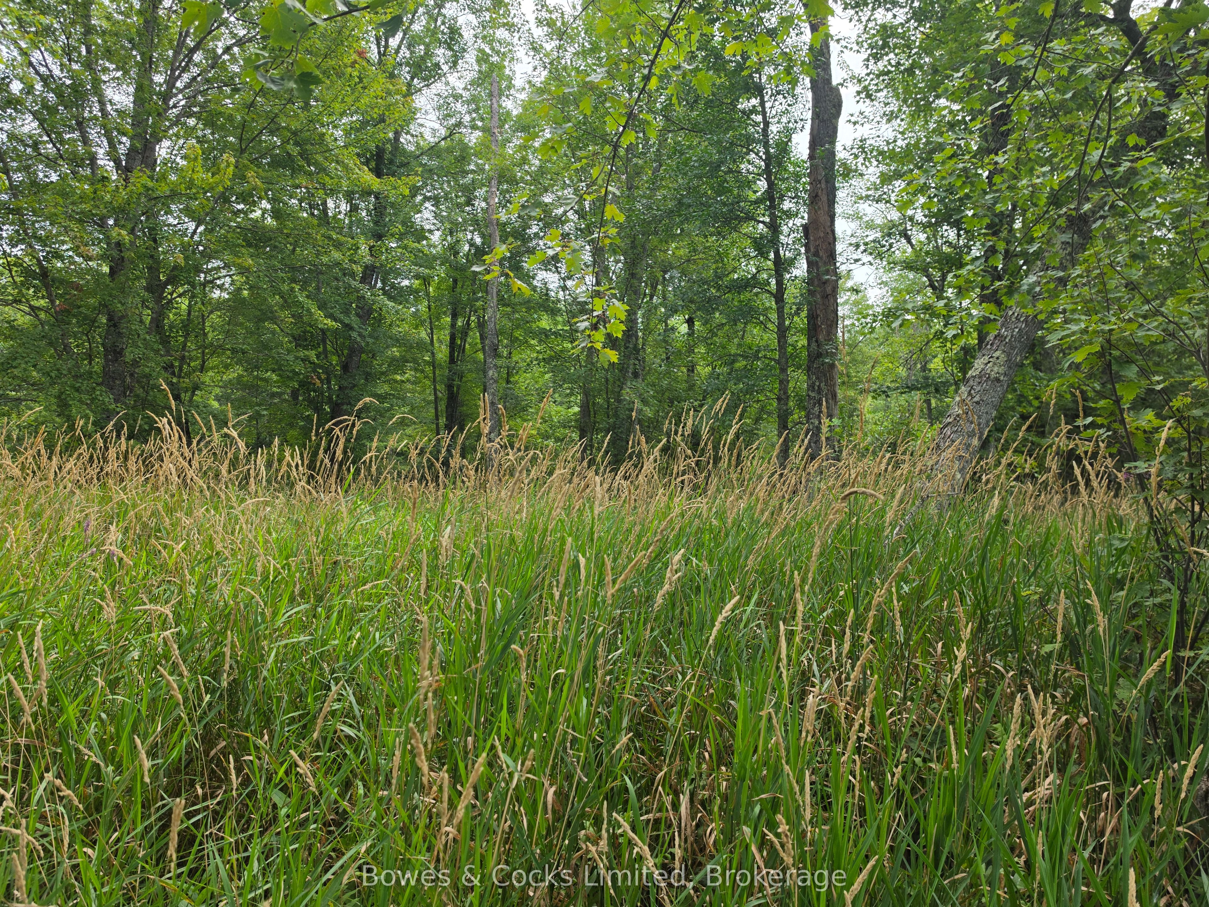 E 1/2 OF W 1/2 LT 28 Concession 12, North Kawartha, ON K0L 1A0 photo 4