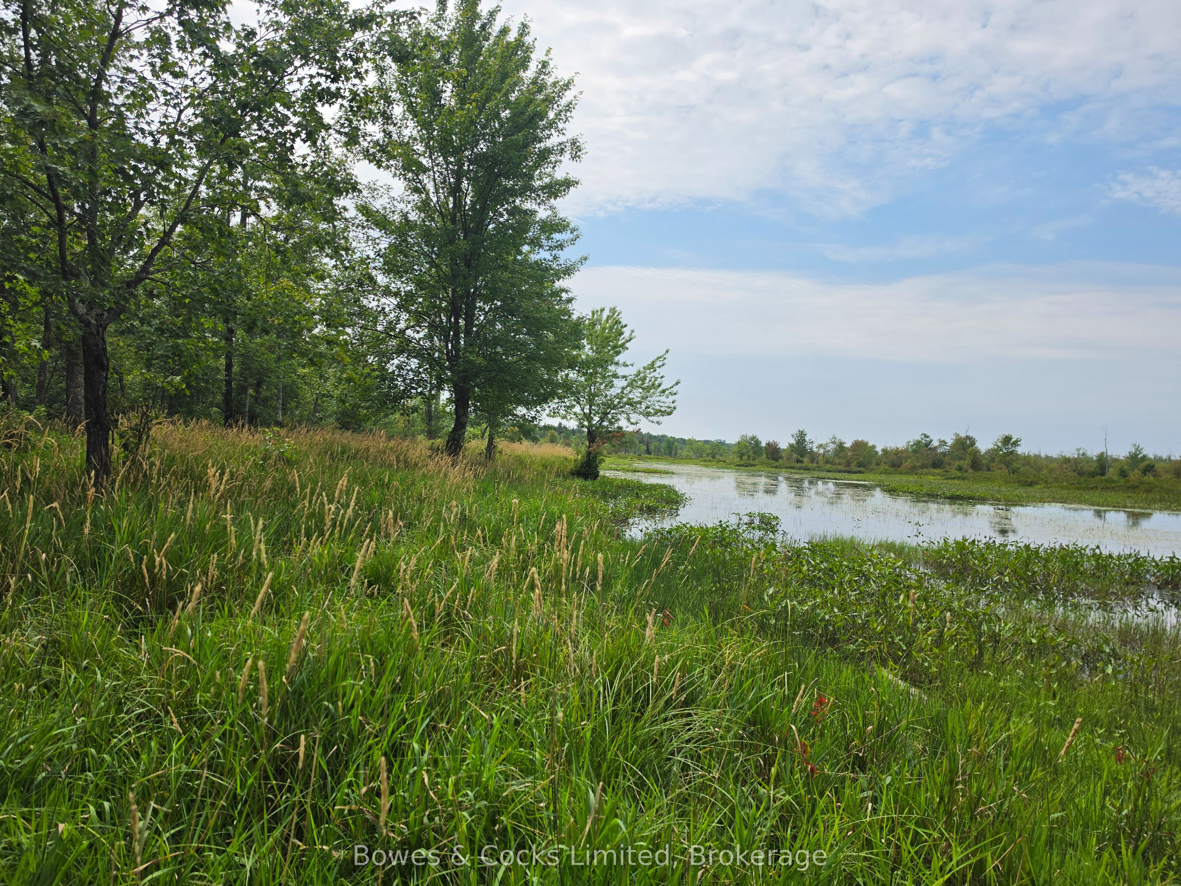 E 1/2 OF W 1/2 LT 28 Concession 12, North Kawartha, ON K0L 1A0 photo 5