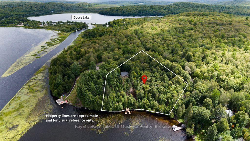 215 Sandwood Drive, Ryerson, ON P0A 1C0 photo 3