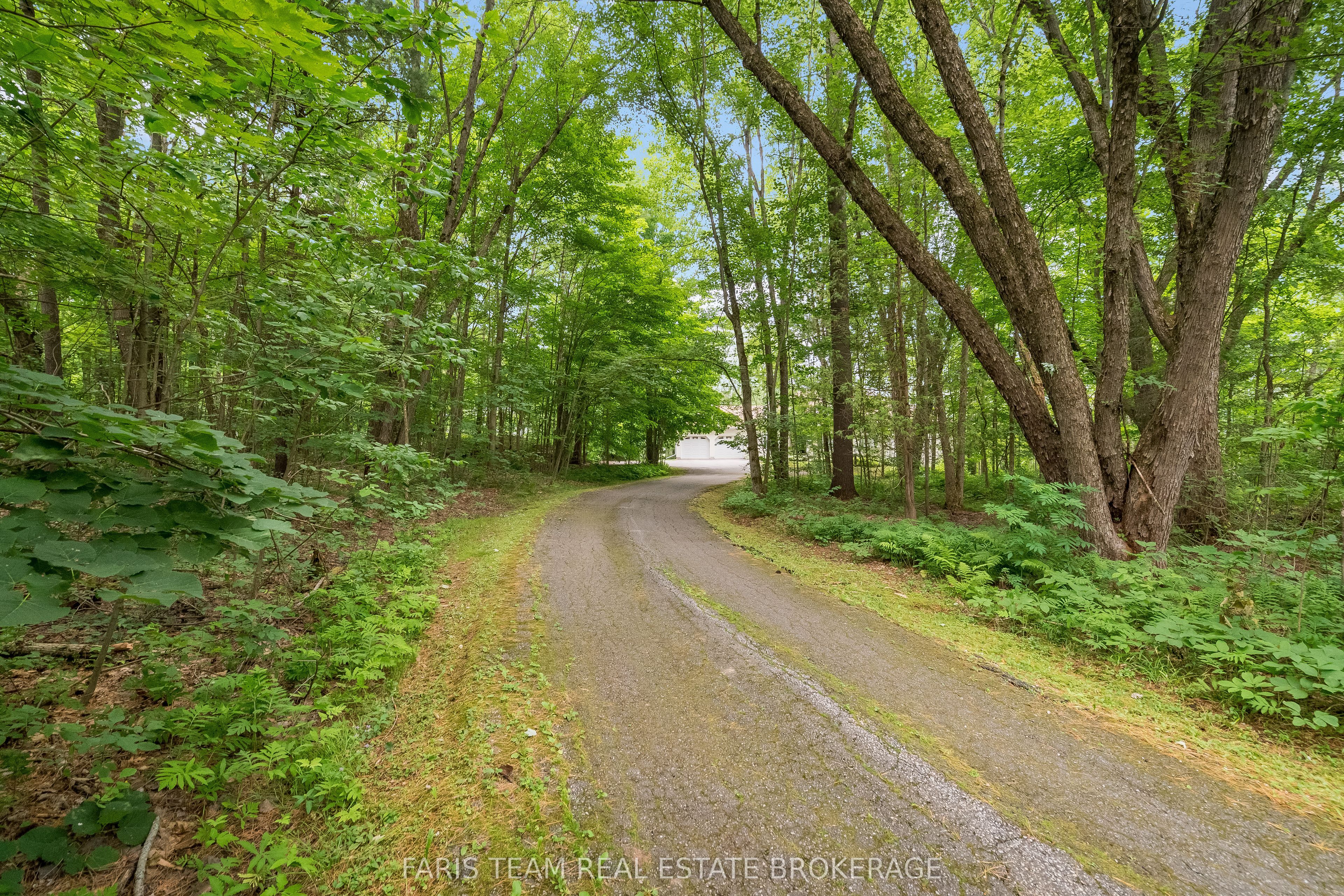 1037 Rockcastle Road, Gravenhurst, ON P0E 1N0 photo 3