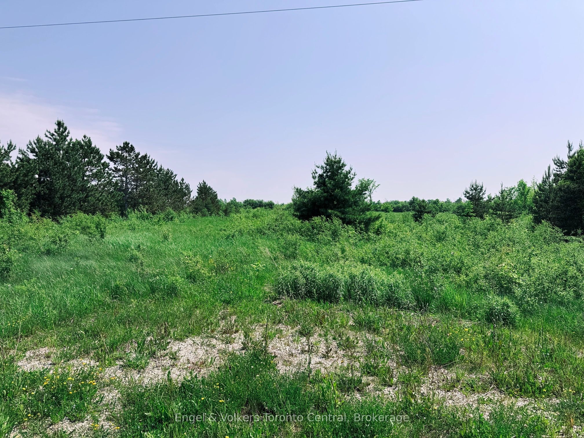 121 Robertson Avenue, Meaford, ON N4L 1W7 photo 4