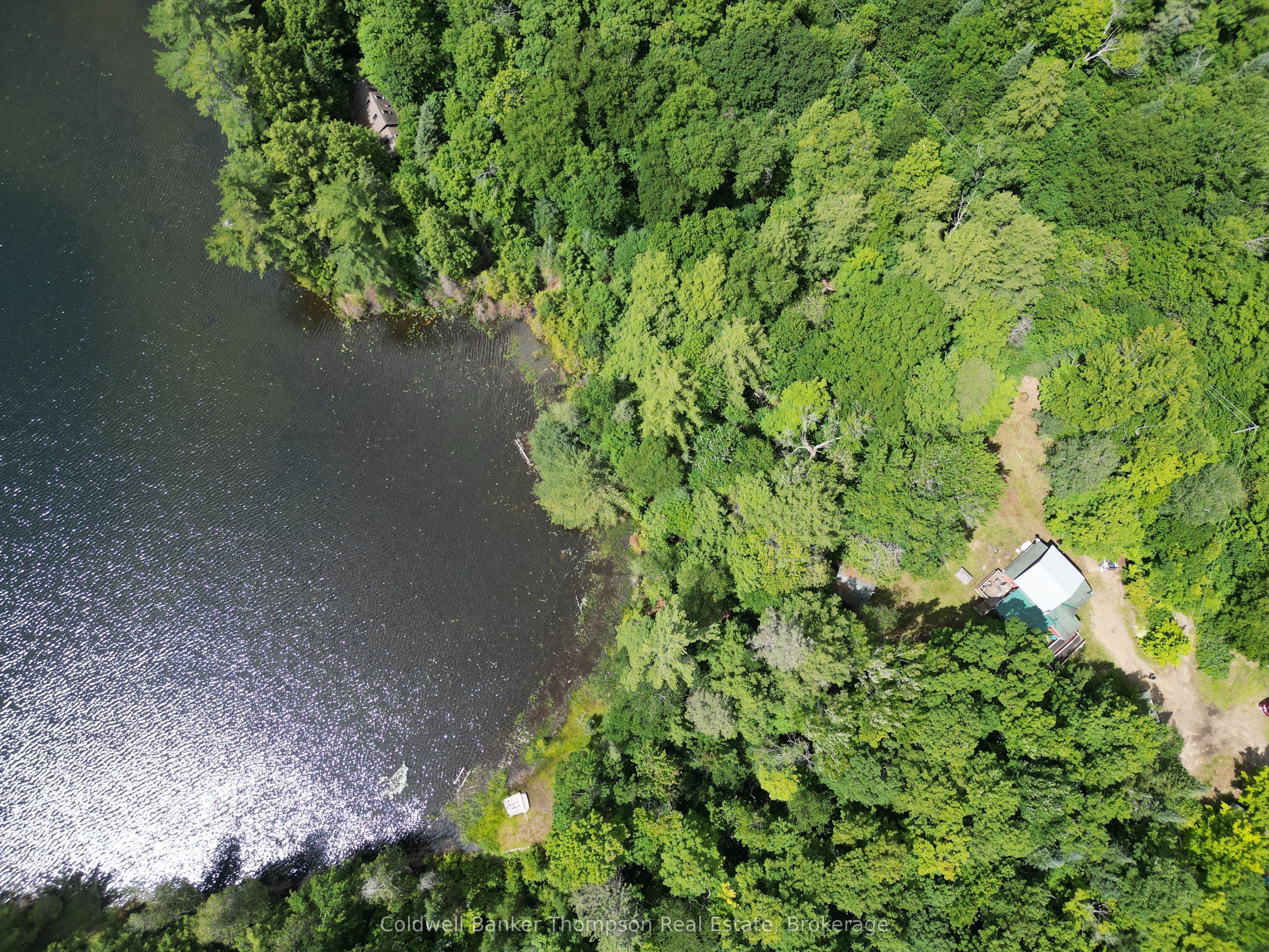 1017 Rhapsody Lane, Algonquin Highlands, ON P0A 1H0 photo 4