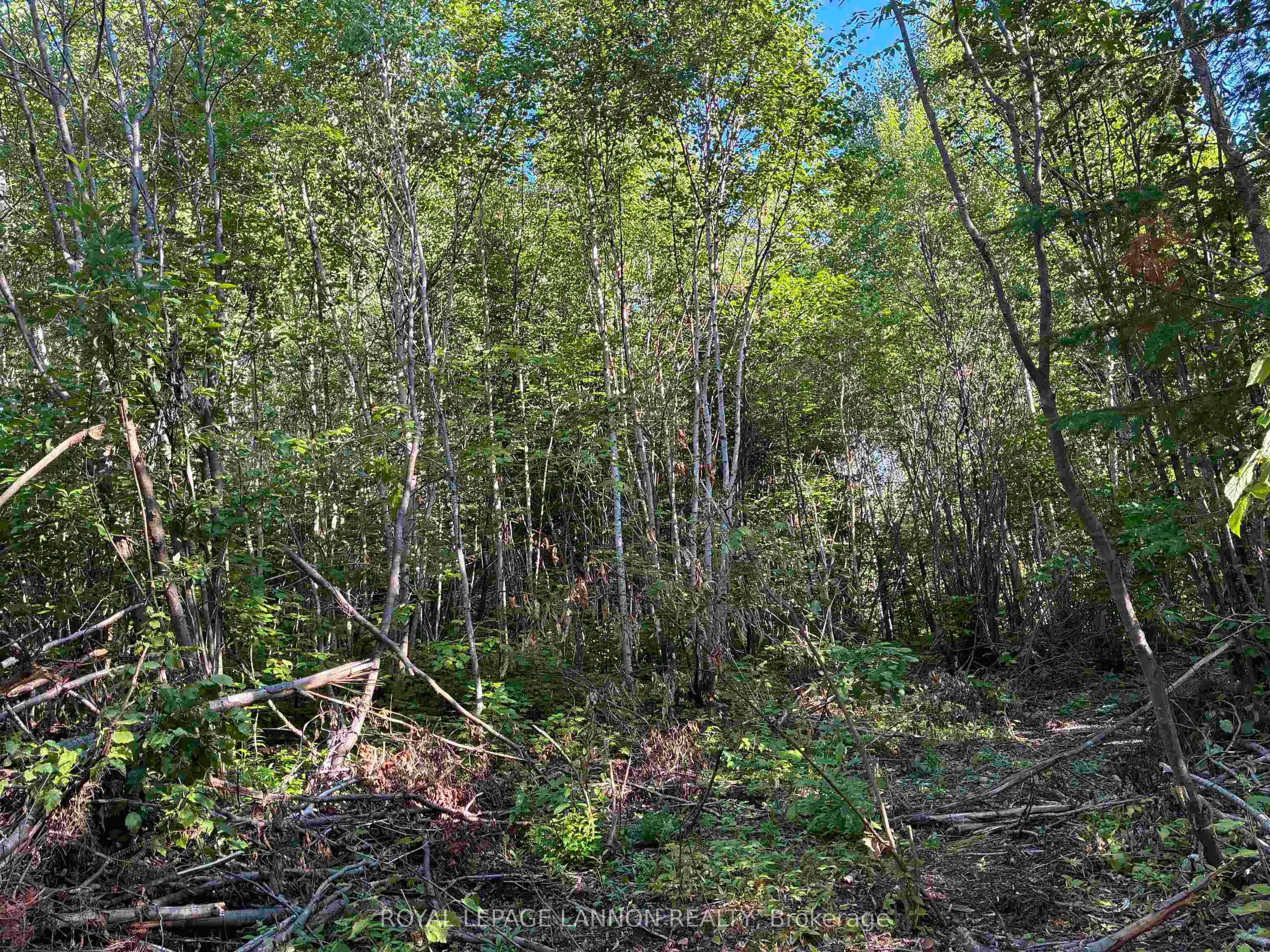 241 Cloud Lake Road, Neebing, ON P7L 0A8 photo 3