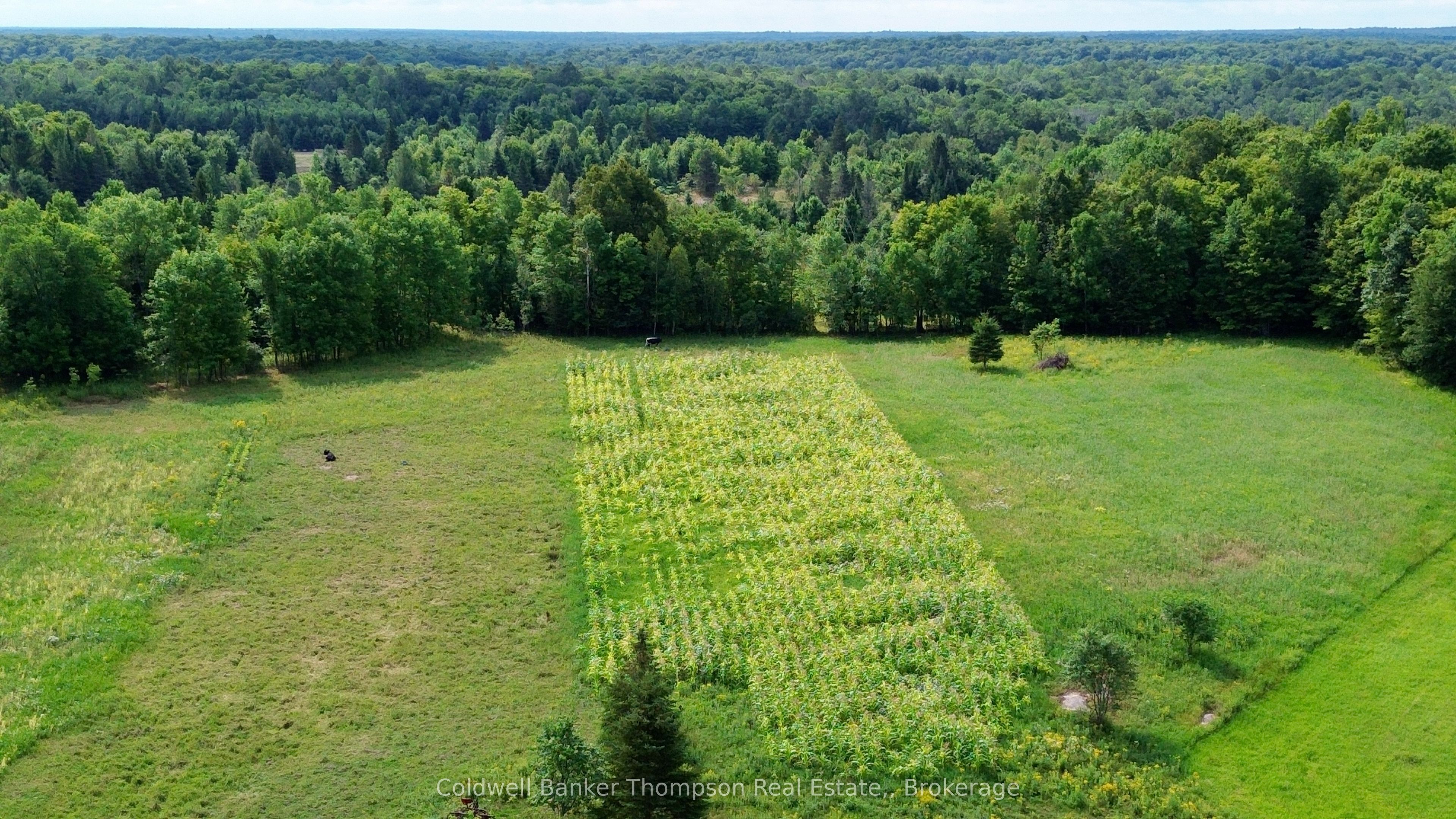 12899 522 Highway W, Parry Sound Remote Area, ON P0H 1S0 photo 2