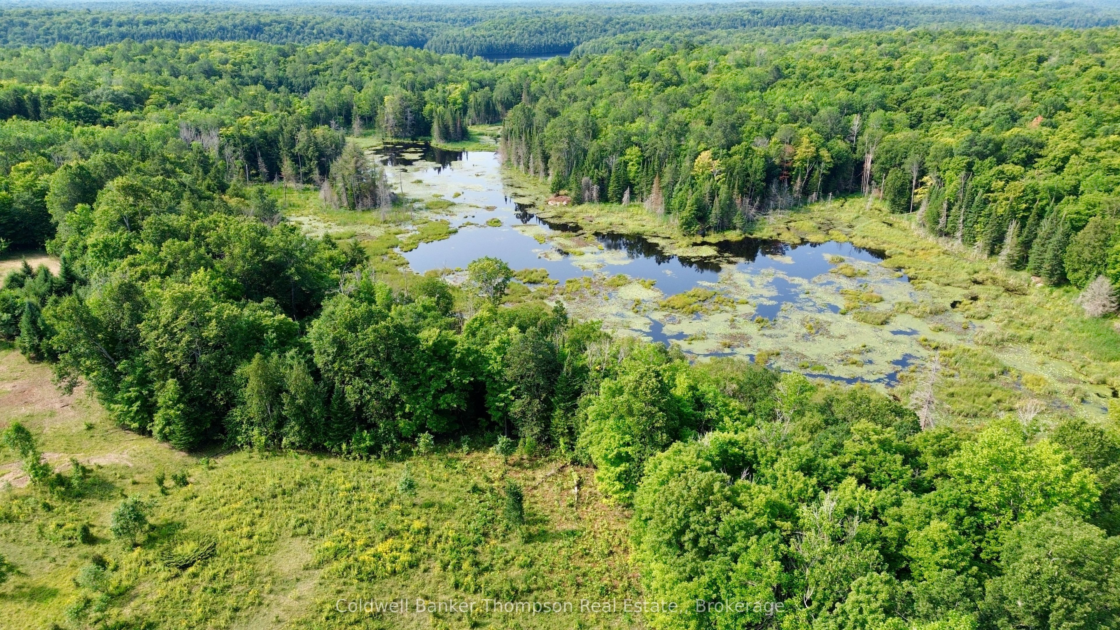 12899 522 Highway W, Parry Sound Remote Area, ON P0H 1S0 photo 5