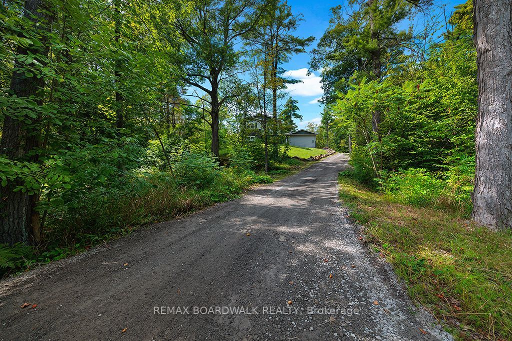 205 Indian Hill Road, Mississippi Mills, ON K0A 2X0 photo 3