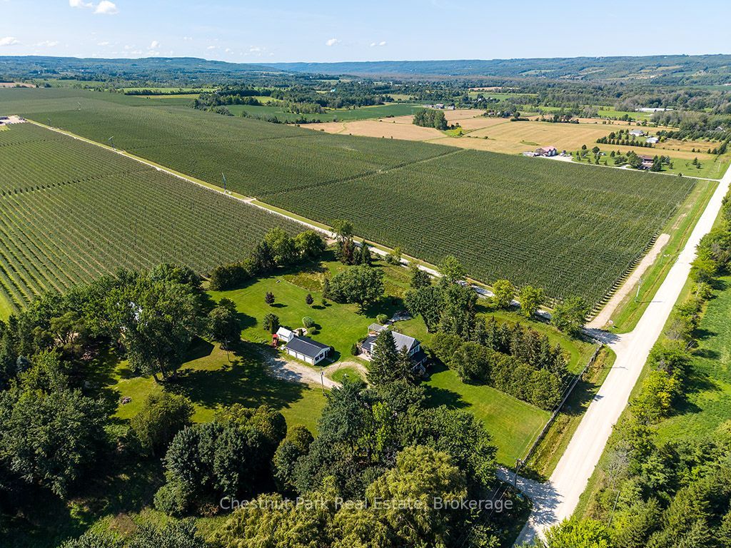 727410 21st Side Road, Blue Mountains, ON N0H 1J0 photo 2